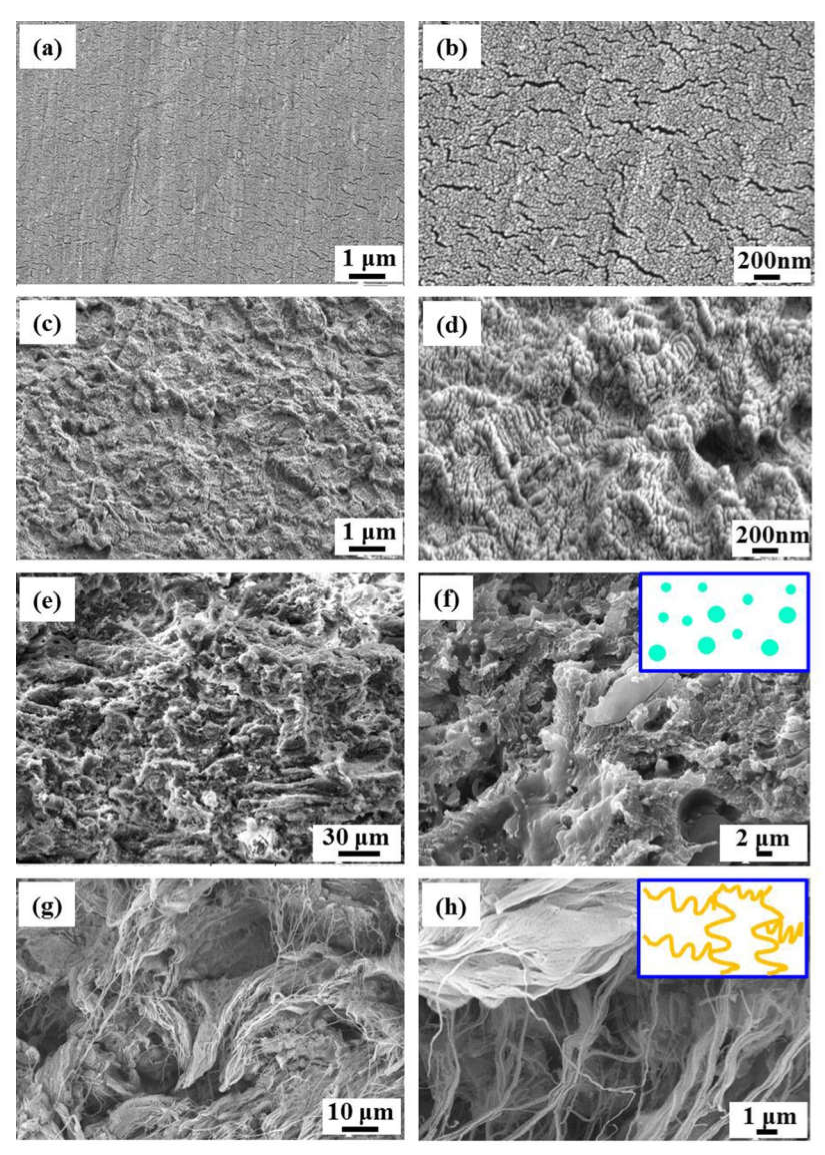 Crystals 11 00778 g007 550