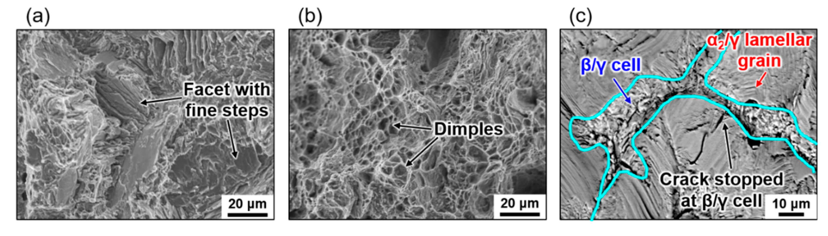 Crystals 11 00809 g008