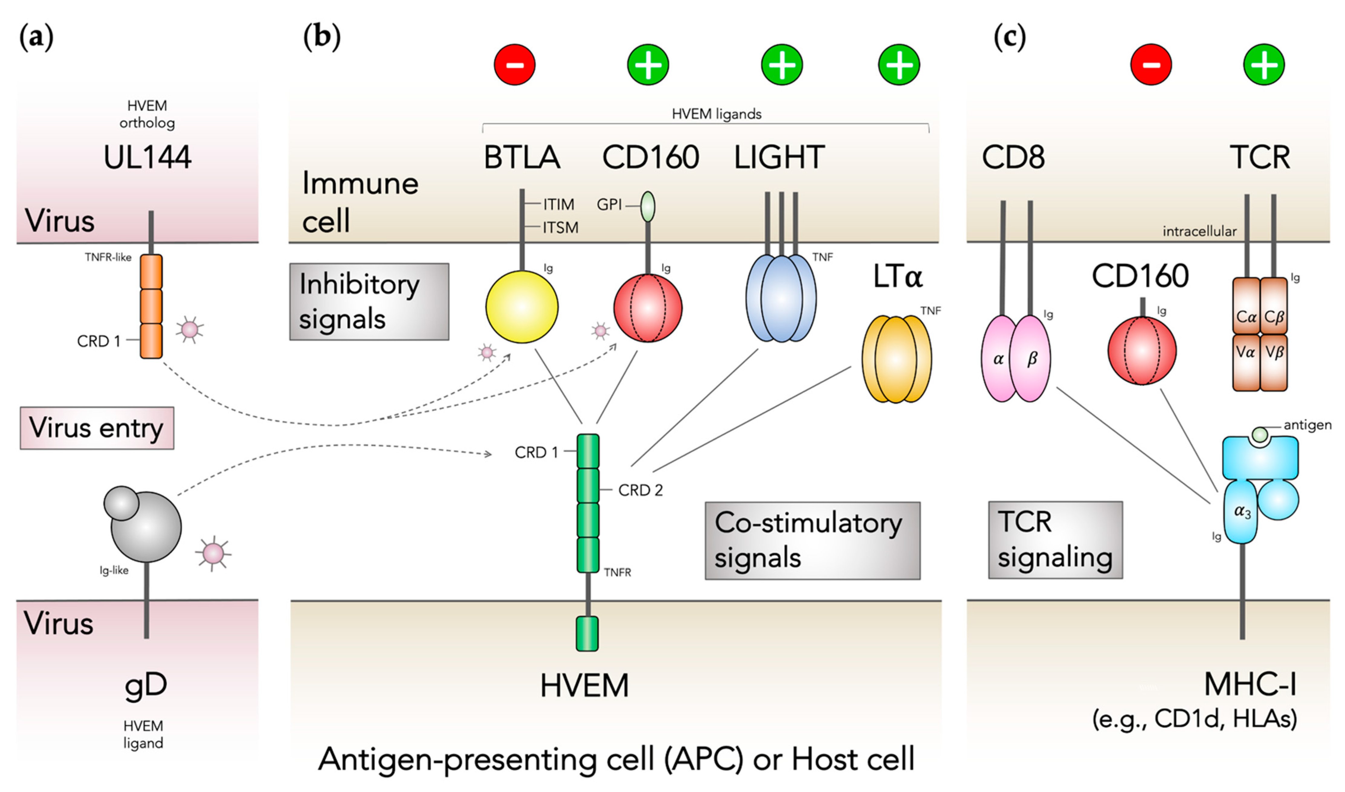 Crystals 11 00820 g001