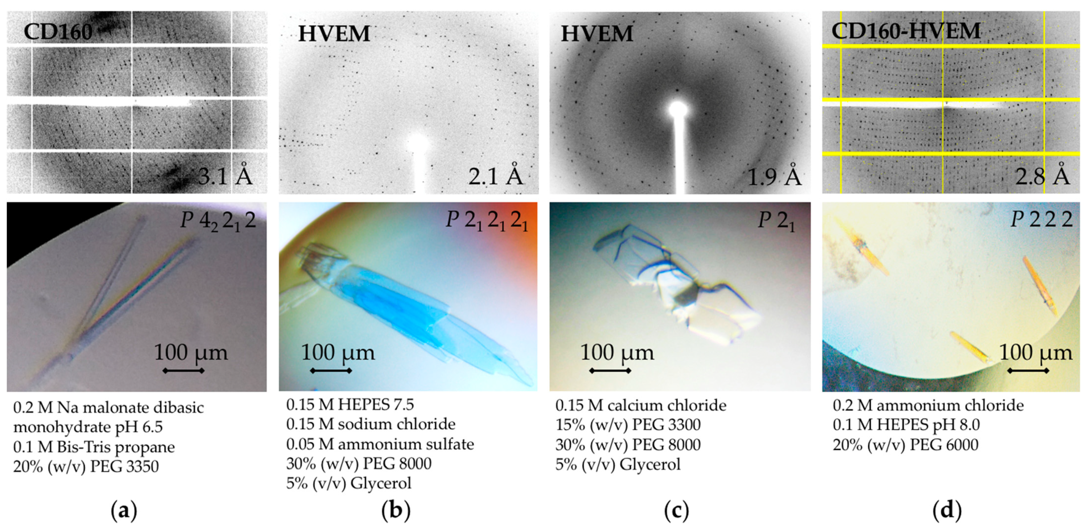 Crystals 11 00820 g004