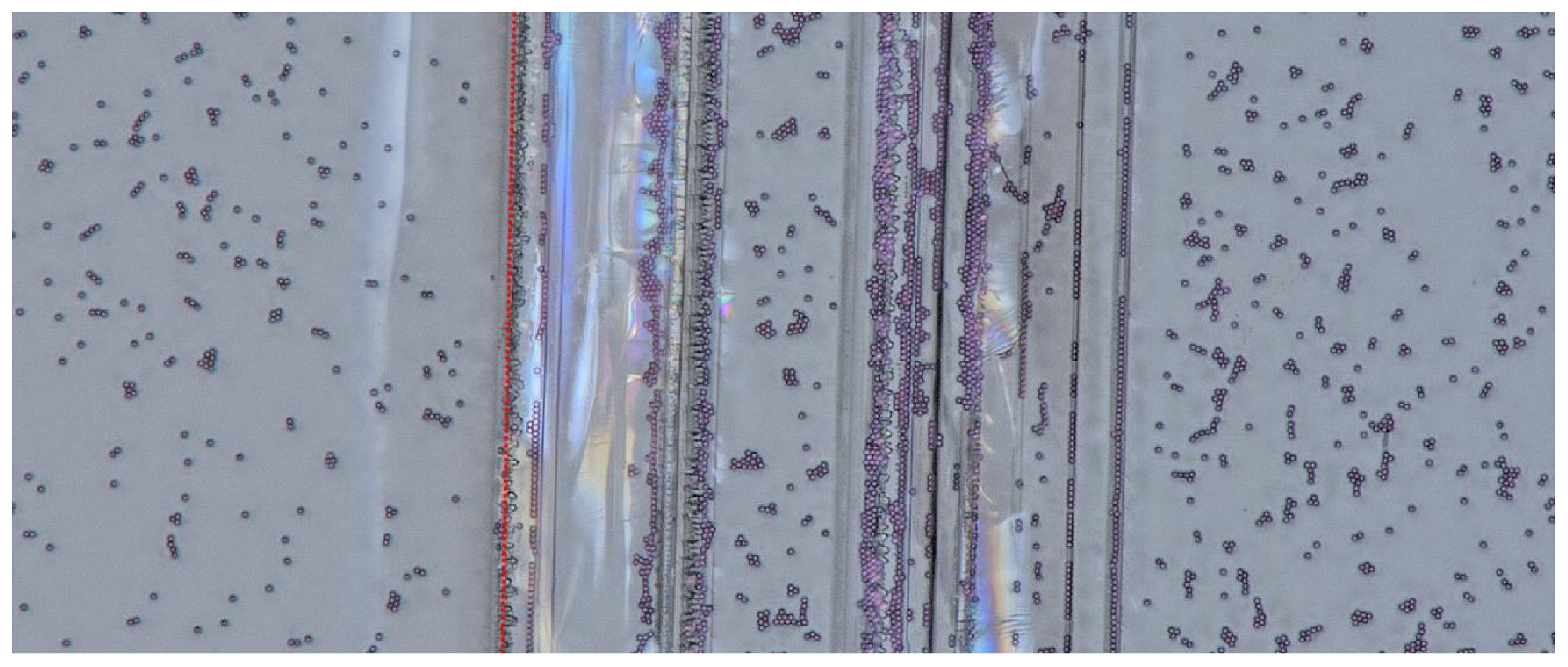 Crystals 11 00829 g007 550