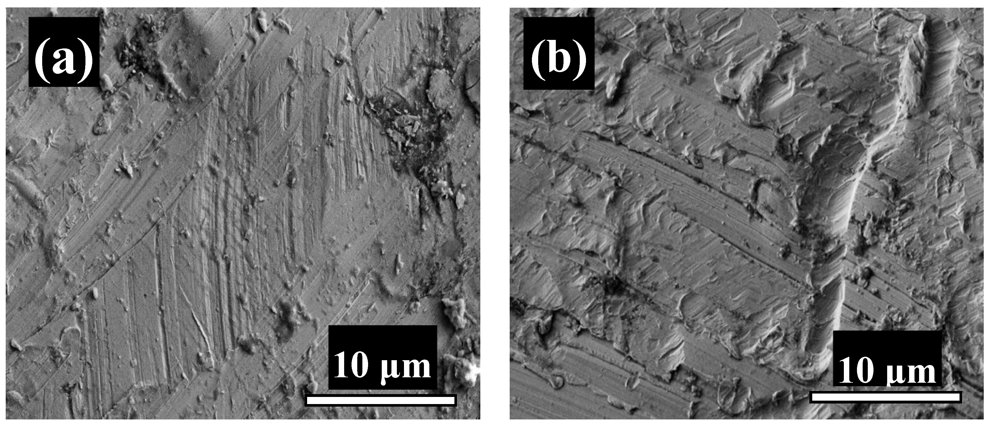 Crystals 11 00842 g009 550