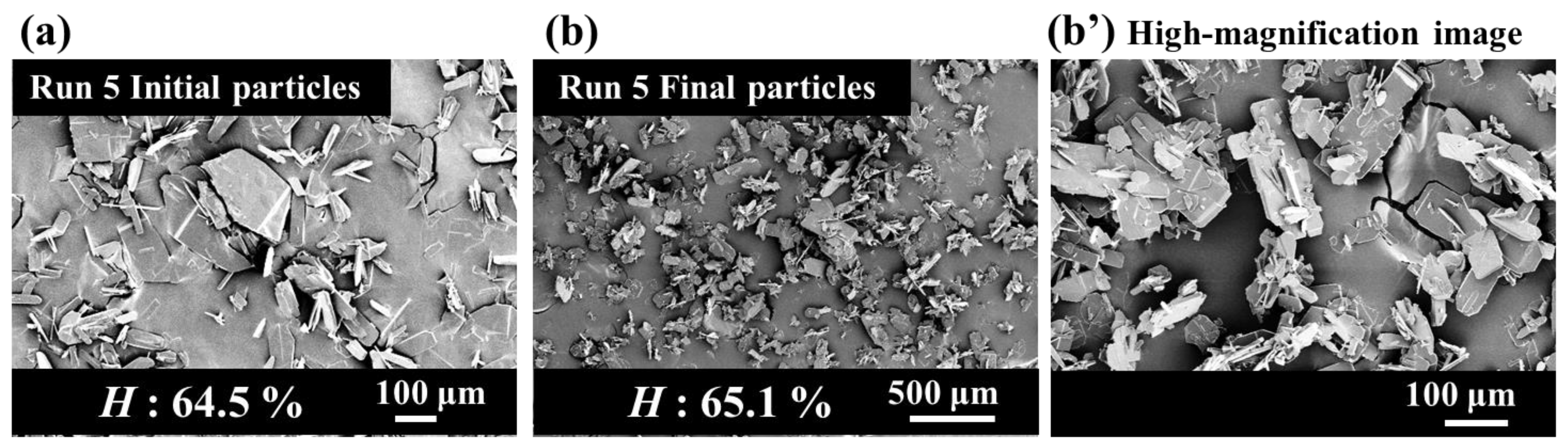 Crystals 11 00844 g012 550