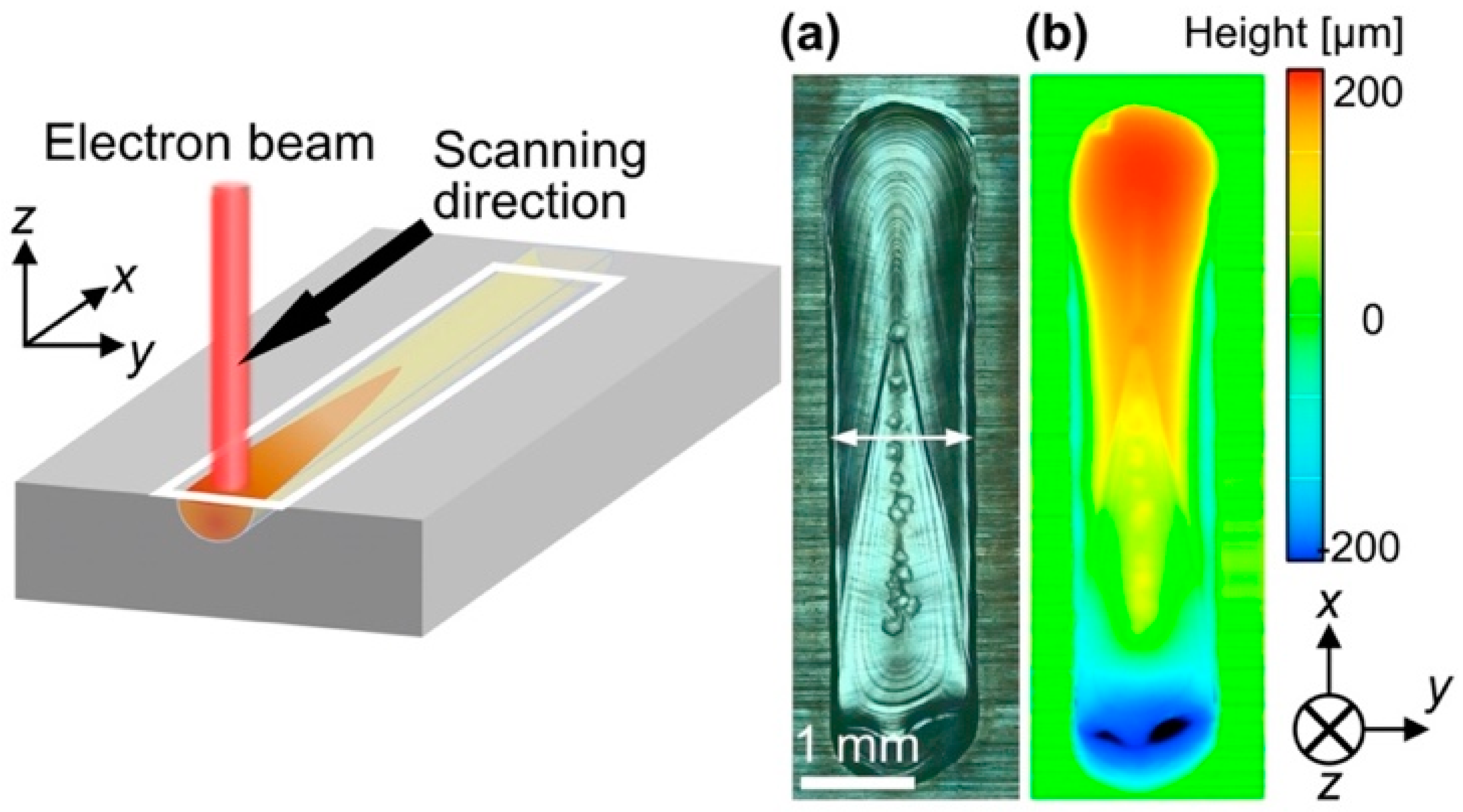 Crystals 11 00856 g001 550
