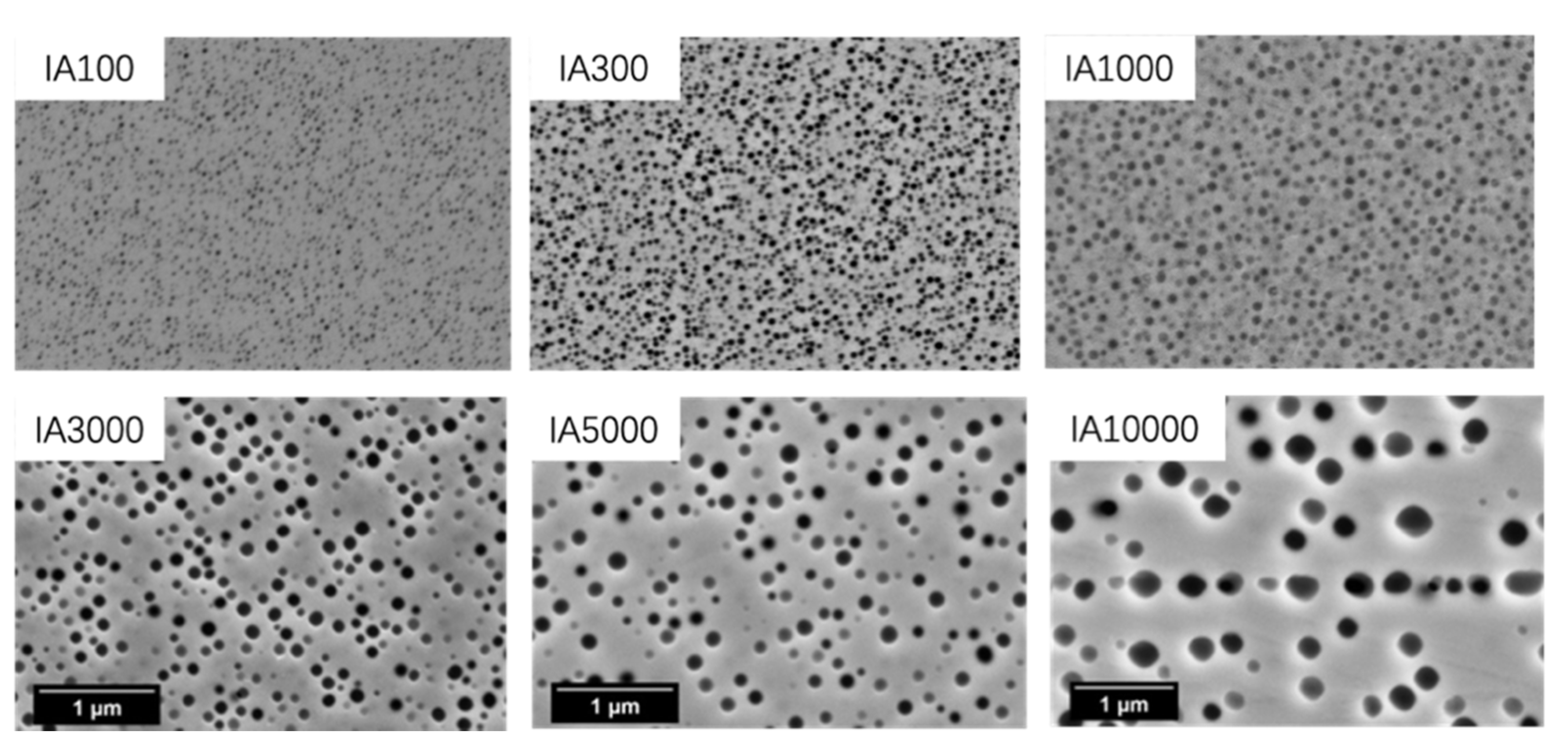 Crystals 11 00867 g012 Crystals 11 00867 g012