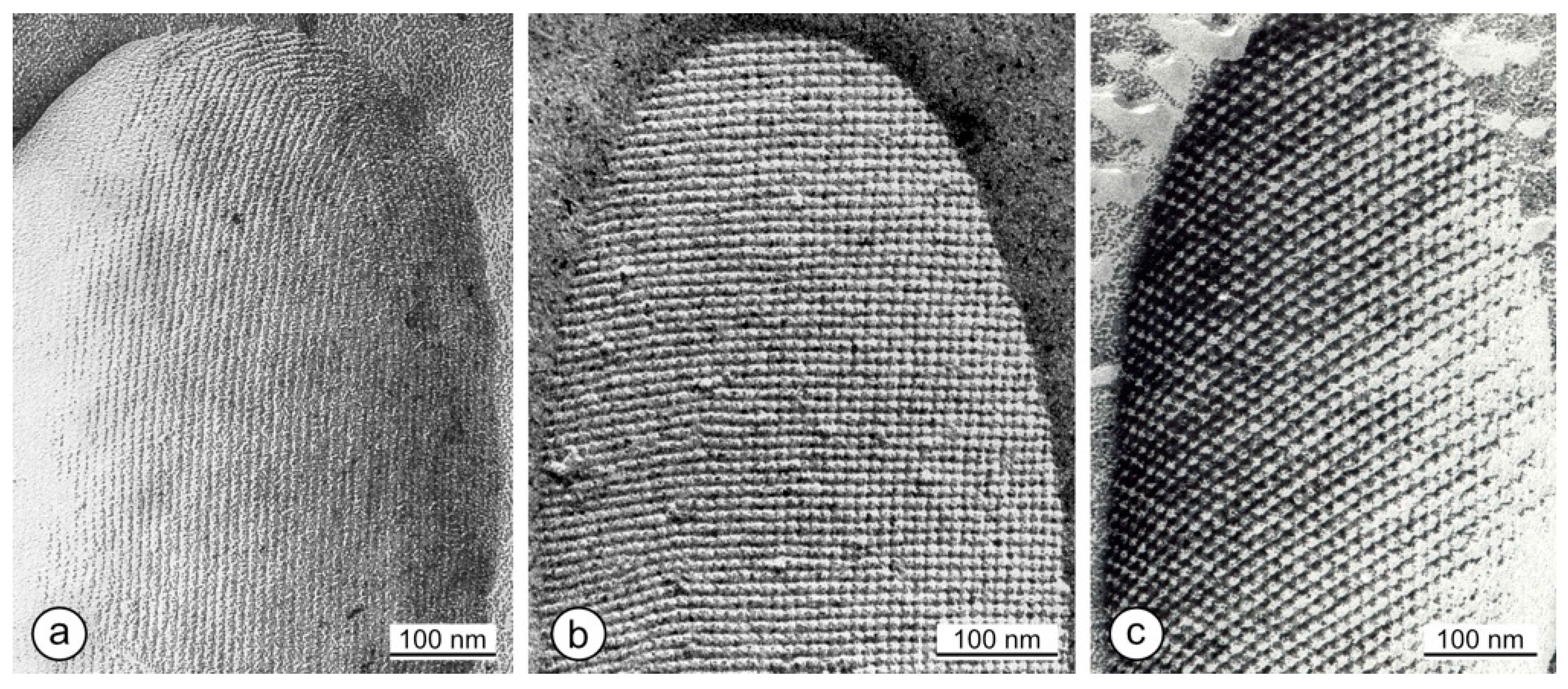 Crystals 11 00869 g001