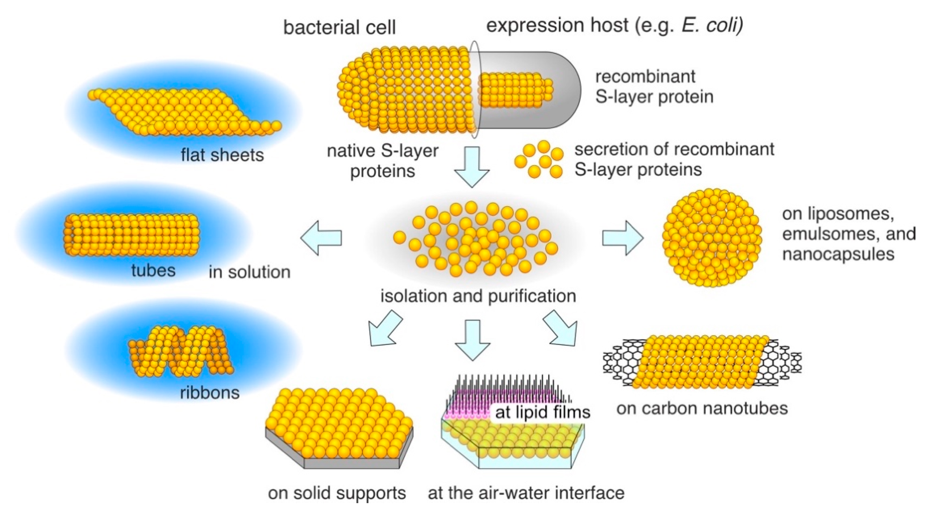 Crystals 11 00869 g003