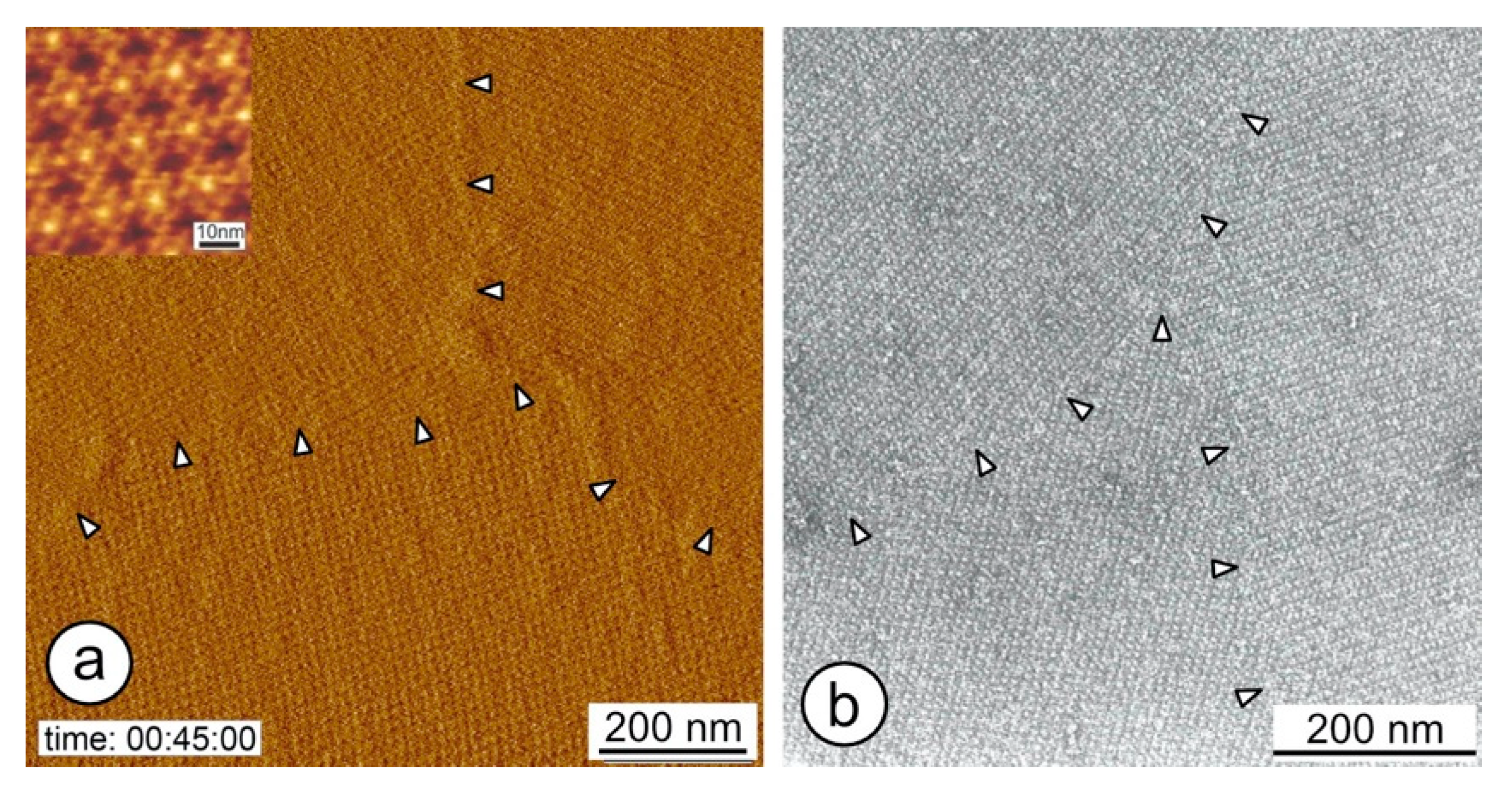 Crystals 11 00869 g004