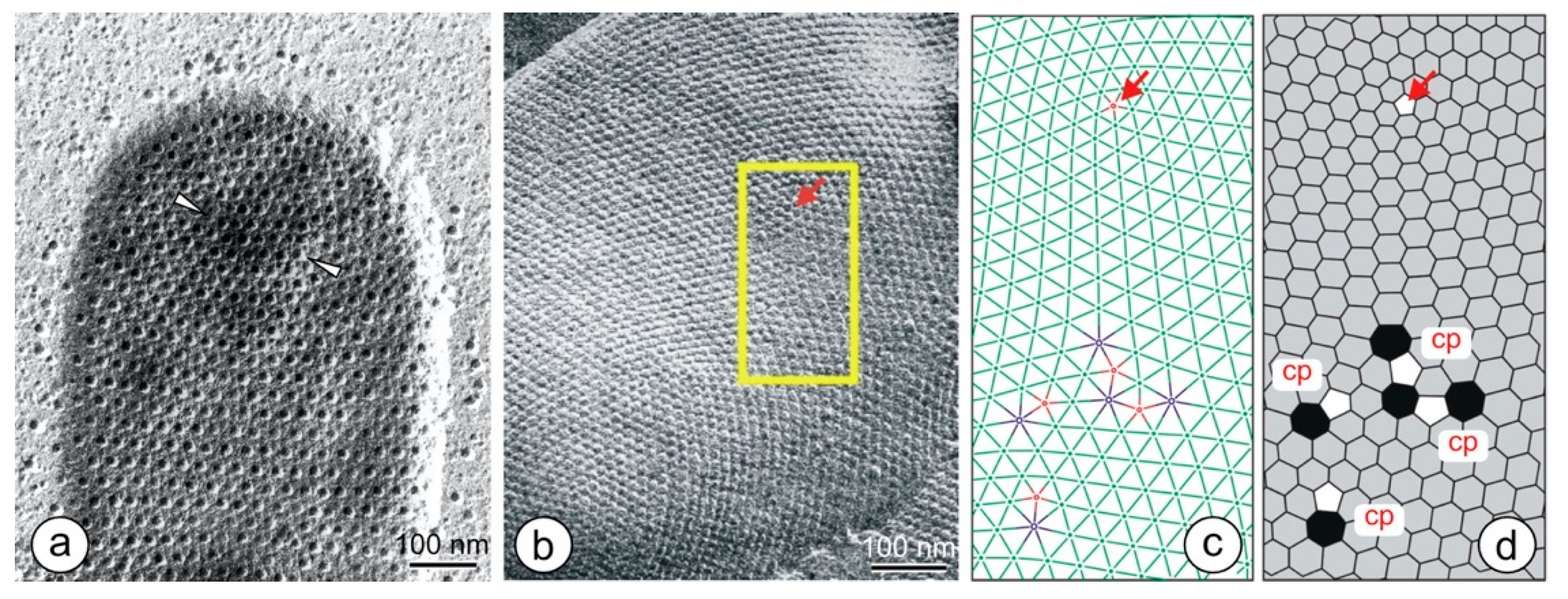 Crystals 11 00869 g008