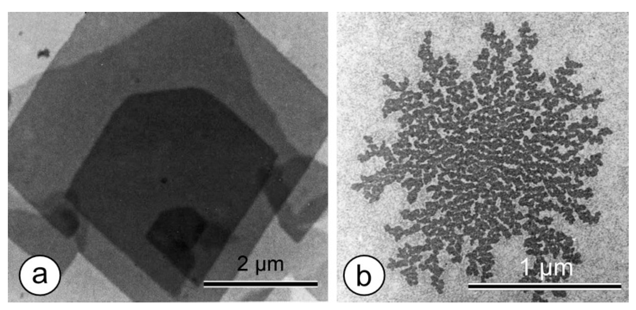 Crystals 11 00869 g009