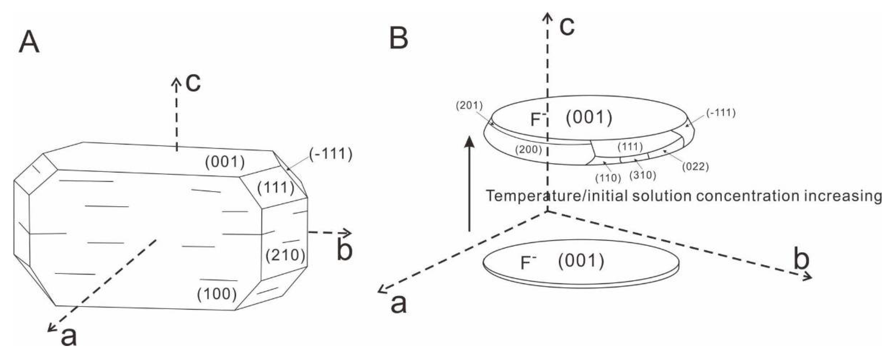 Crystals 11 00871 g008