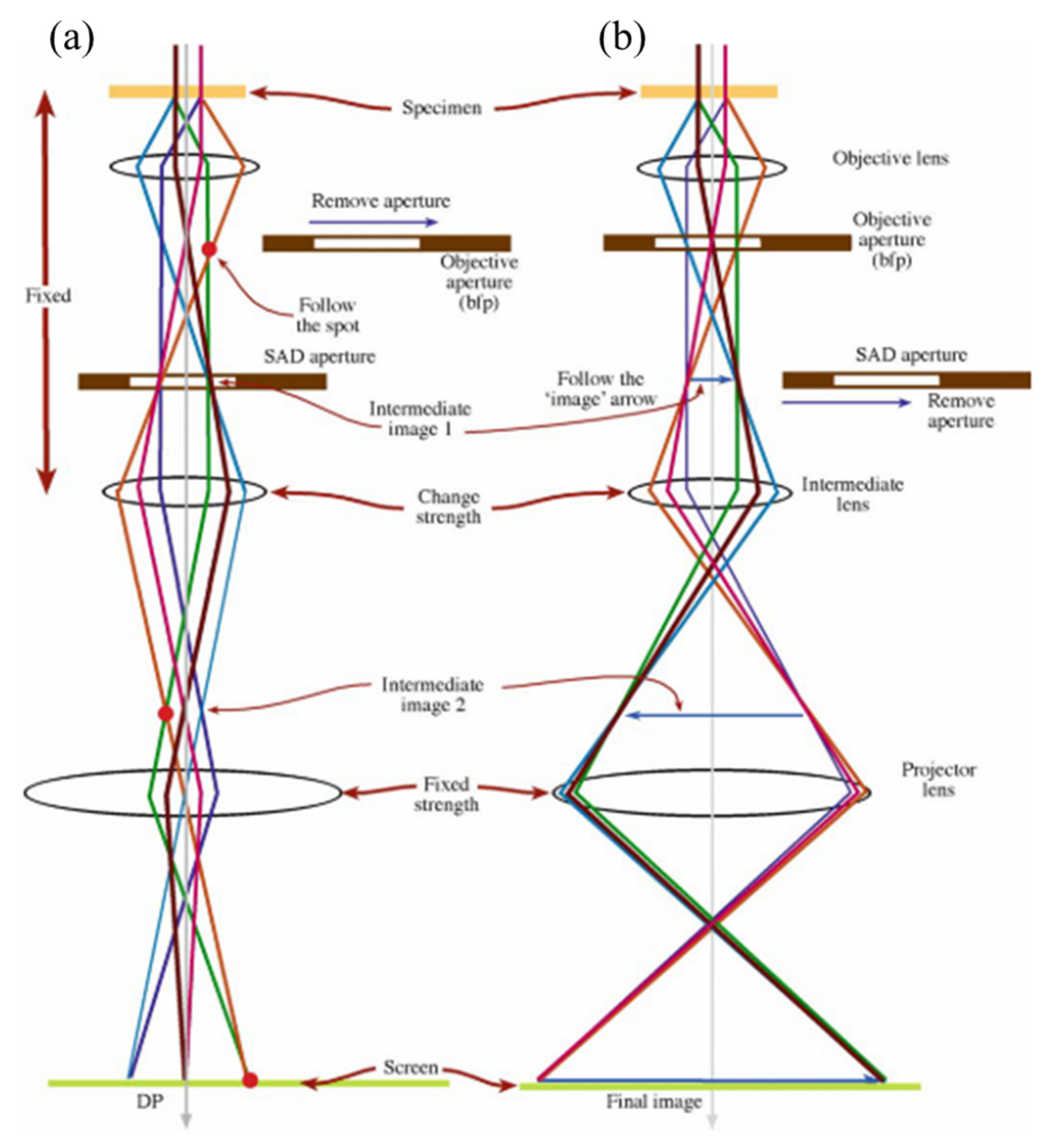Crystals 11 00878 g007 Crystals 11 00878 g007