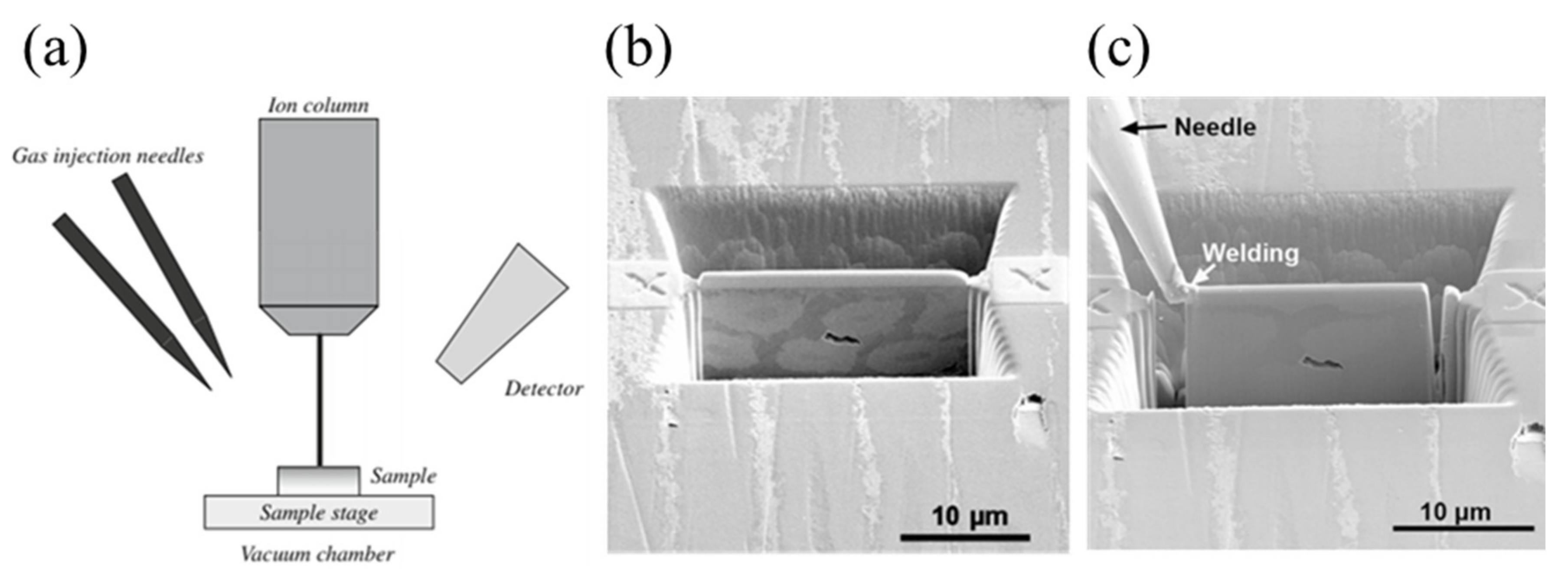Crystals 11 00878 g011 Crystals 11 00878 g011