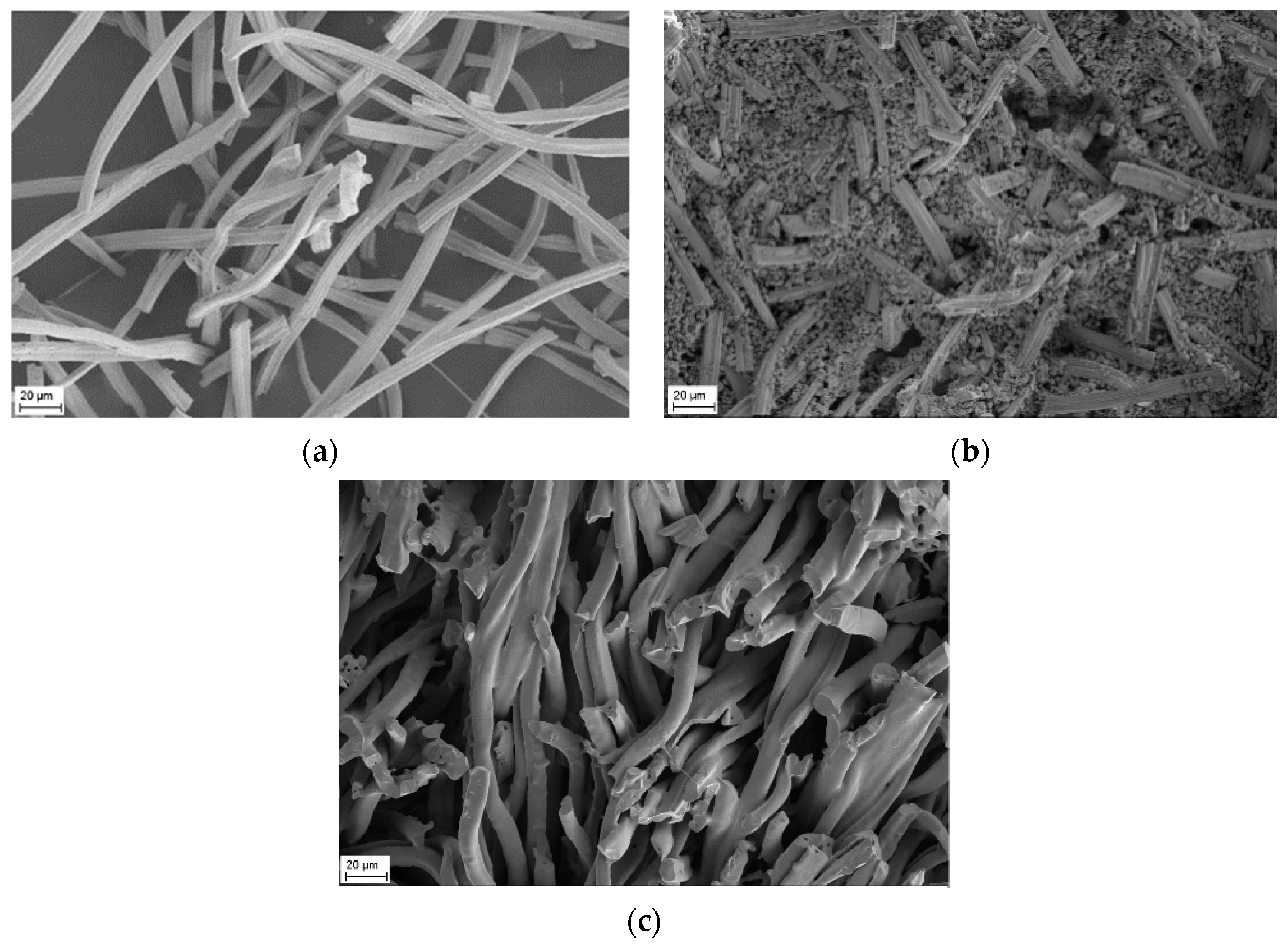 Crystals 11 00885 g003