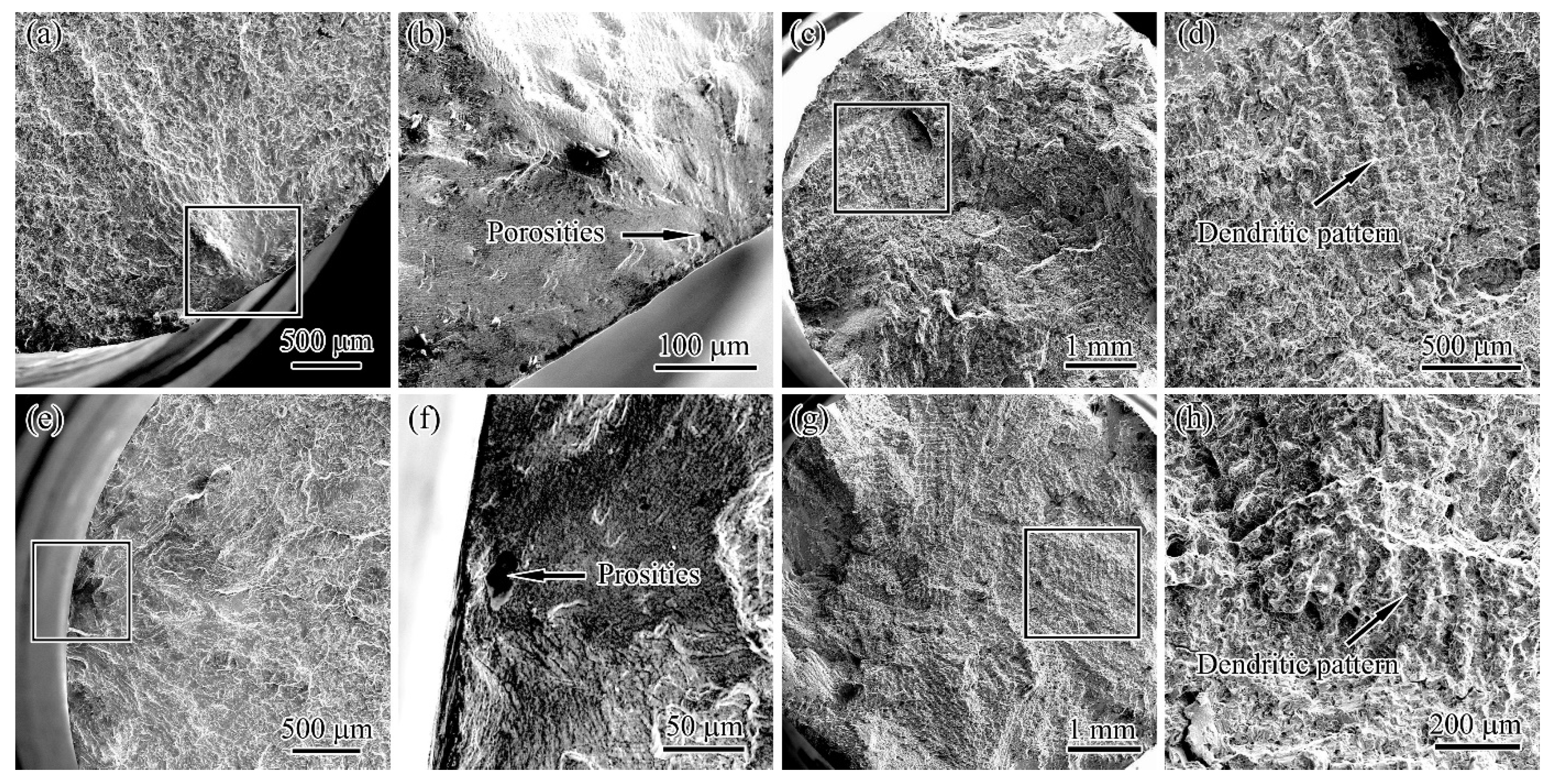 Crystals 11 00892 g008