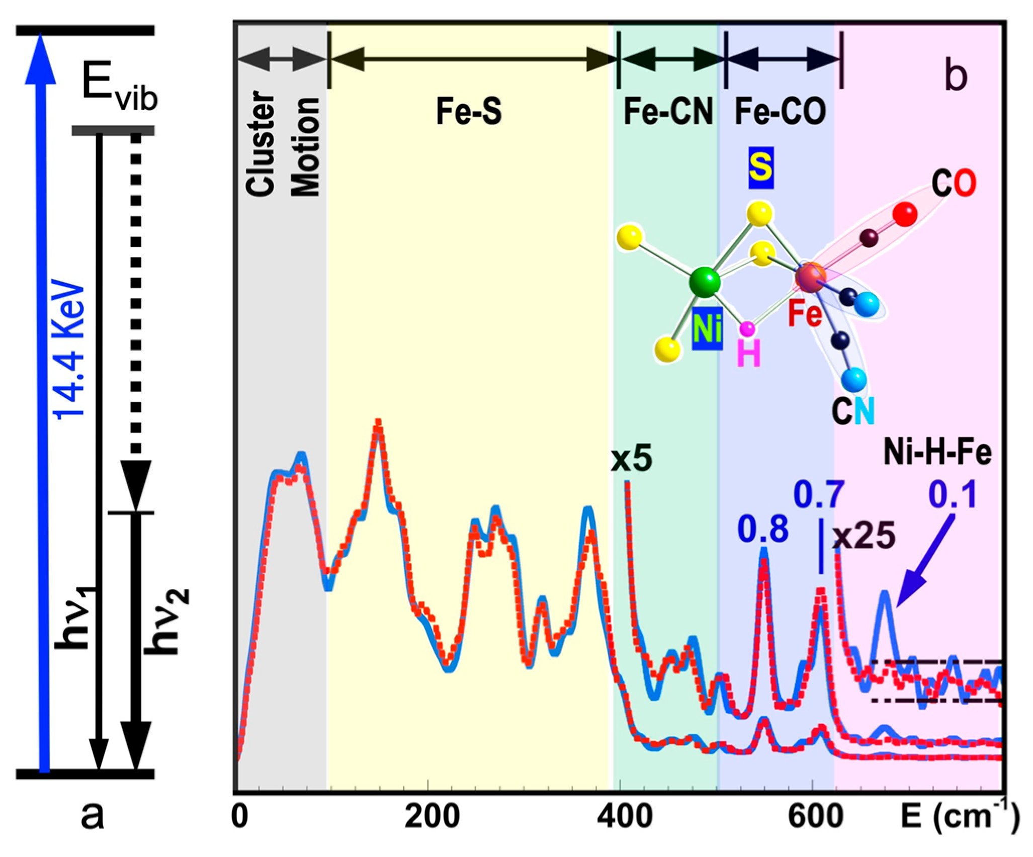 Crystals 11 00909 g001 Crystals 11 00909 g001