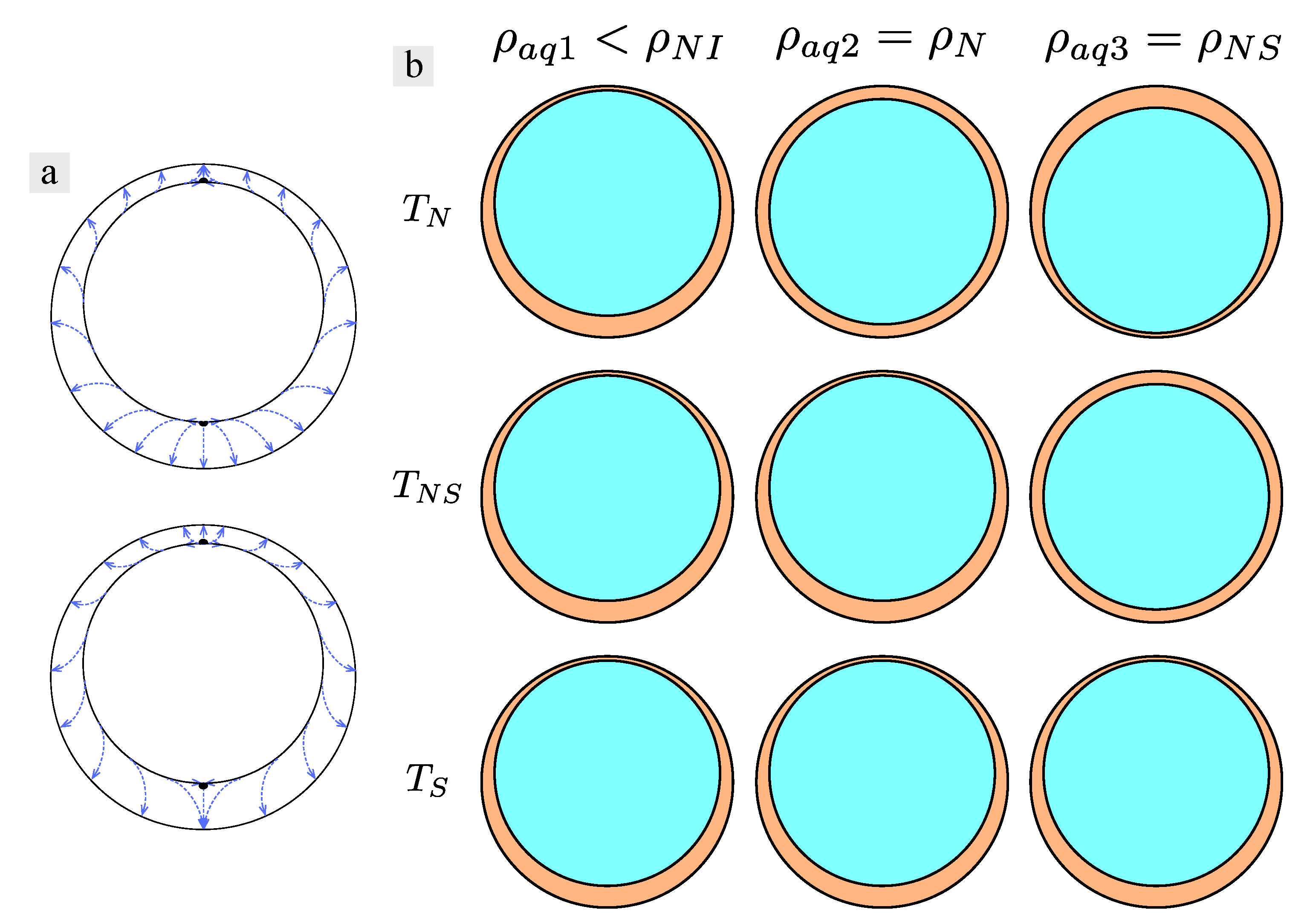Crystals 11 00913 g001