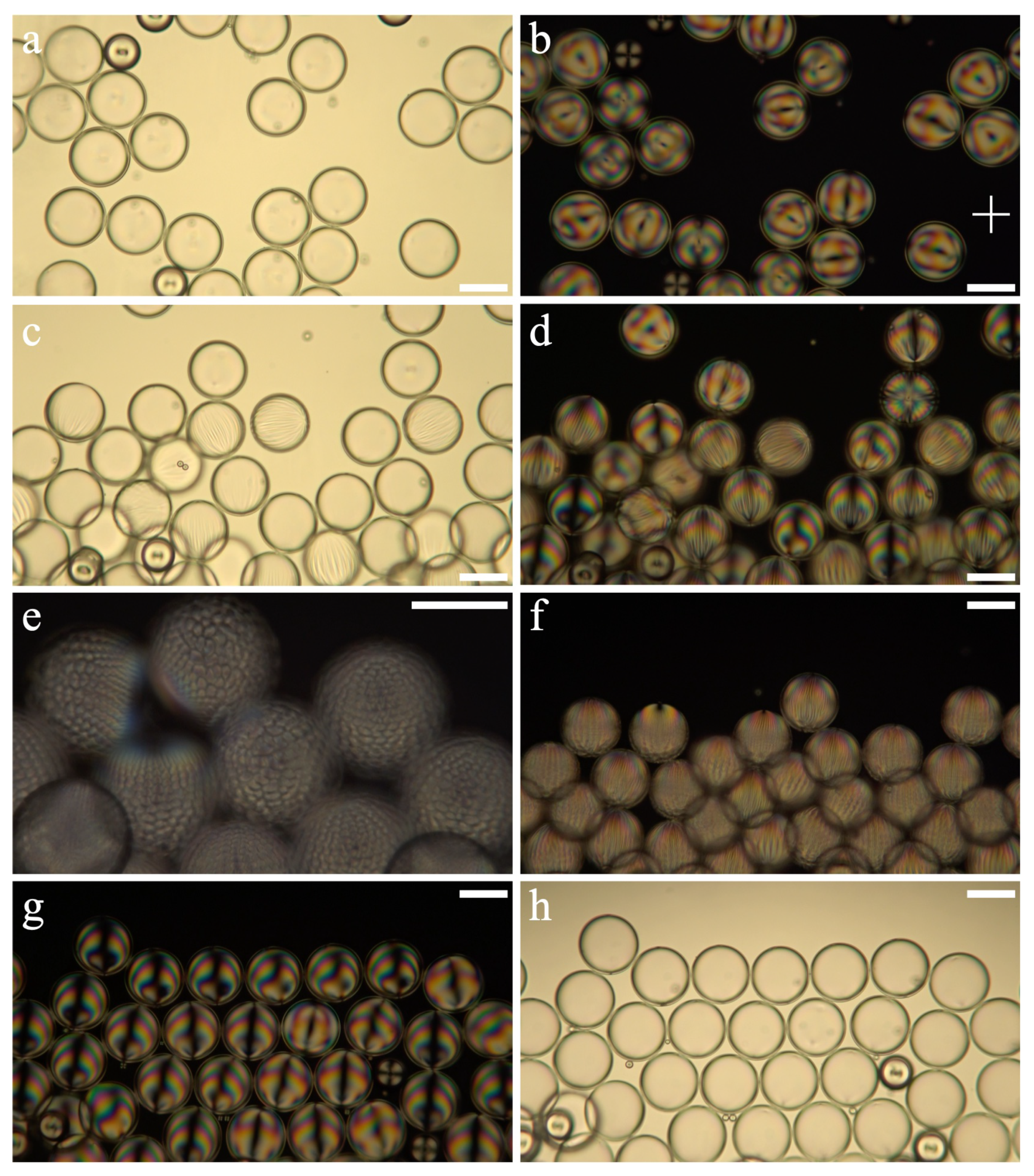 Crystals 11 00913 g005