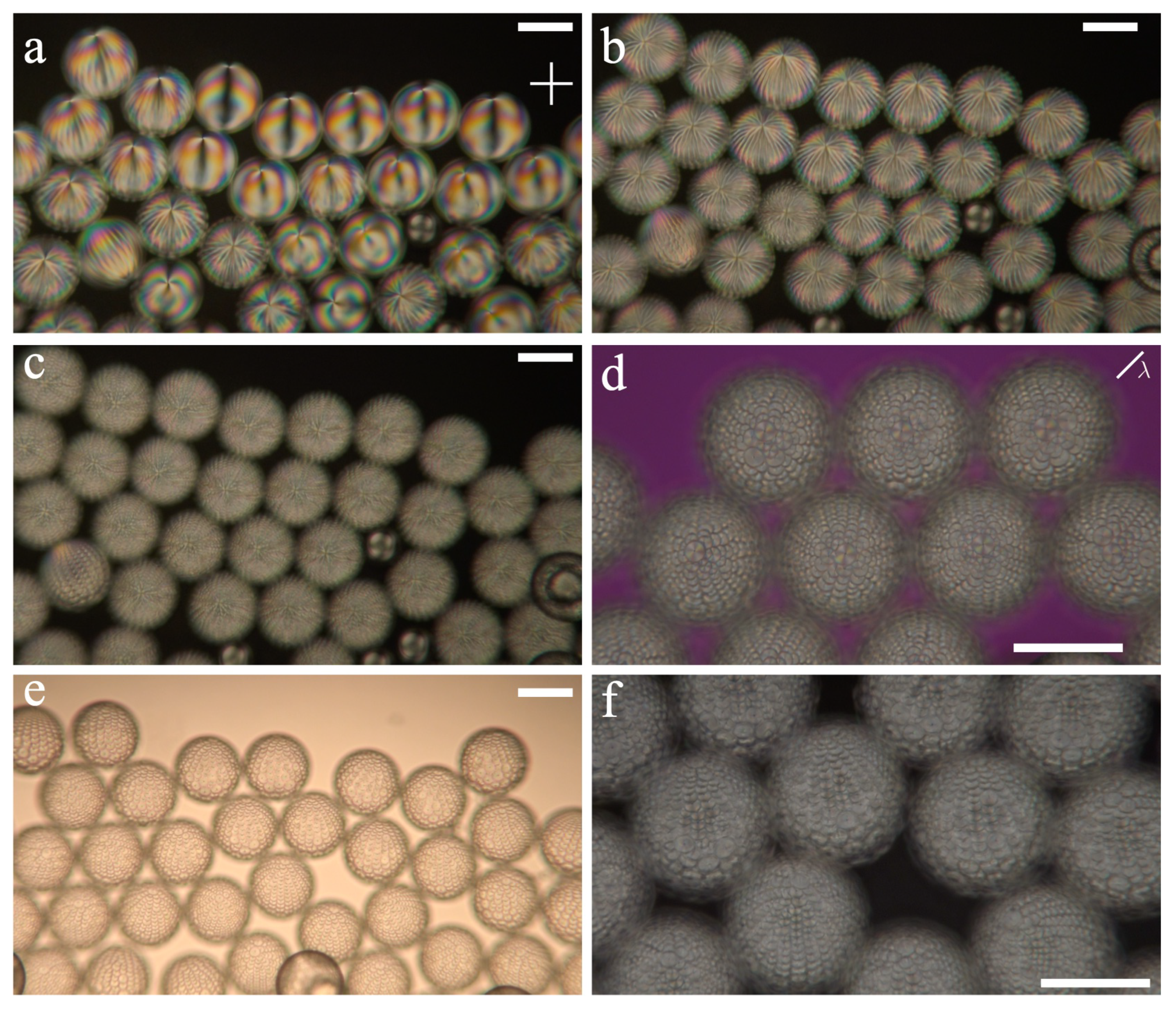 Crystals 11 00913 g006