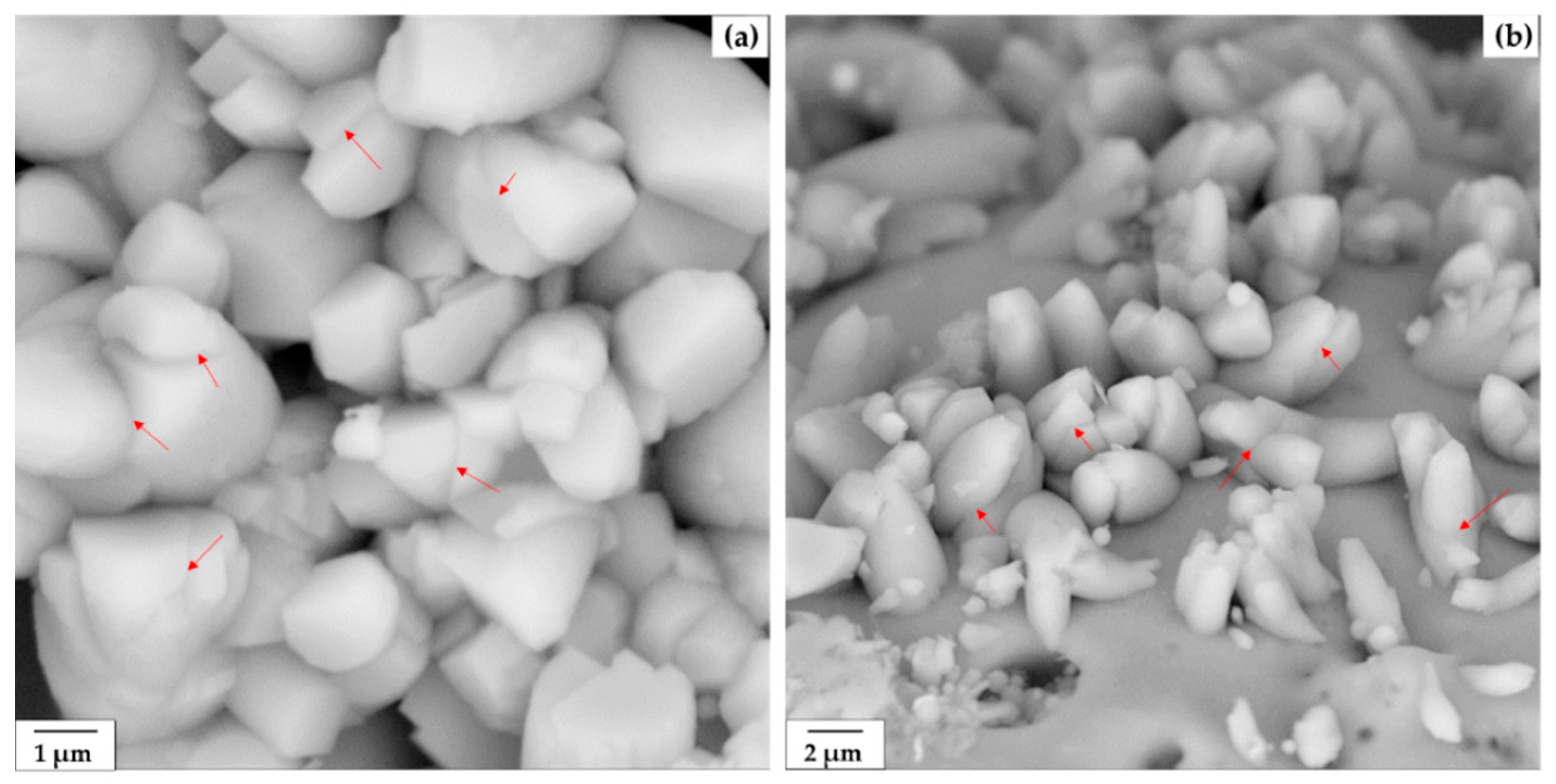 Crystals 11 00919 g009 550