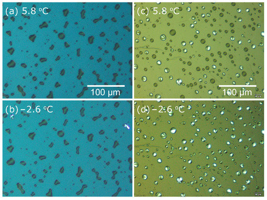 Heterogeneous Crystal Nucleation from the Melt in Polyethylene Oxide ...