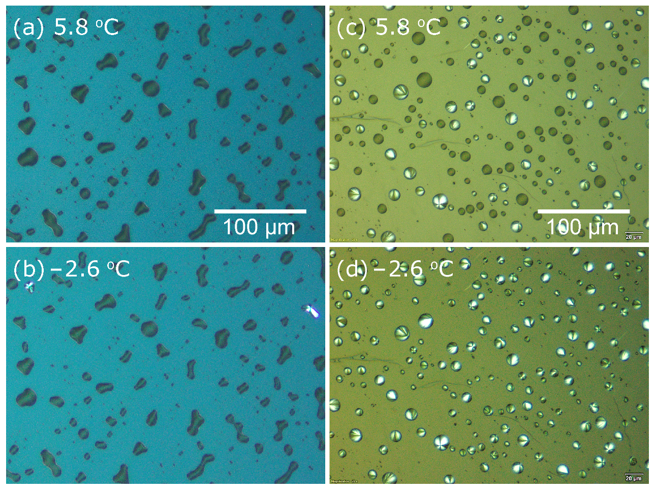 Crystals 11 00924 g002