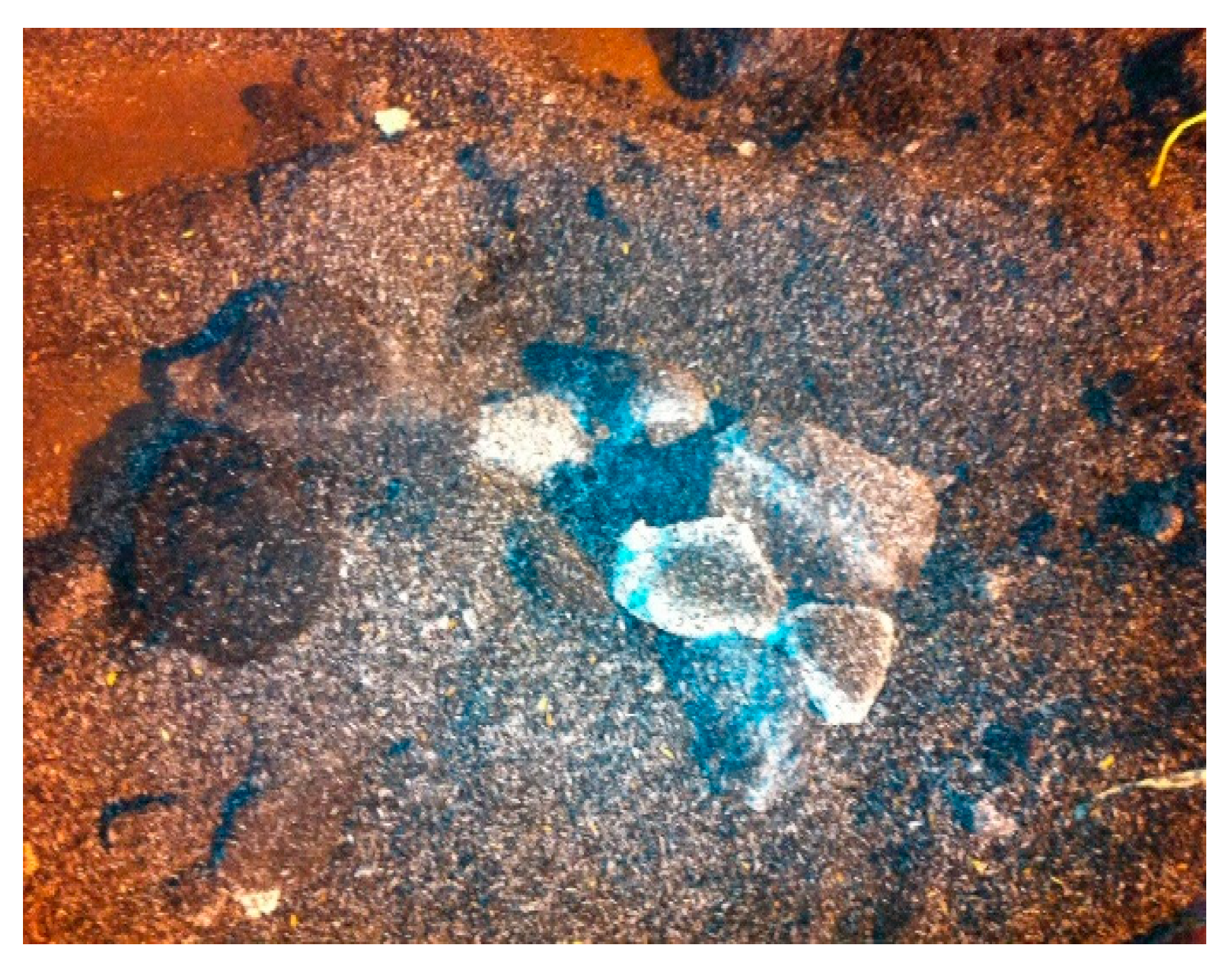 Crystals 11 00932 g005