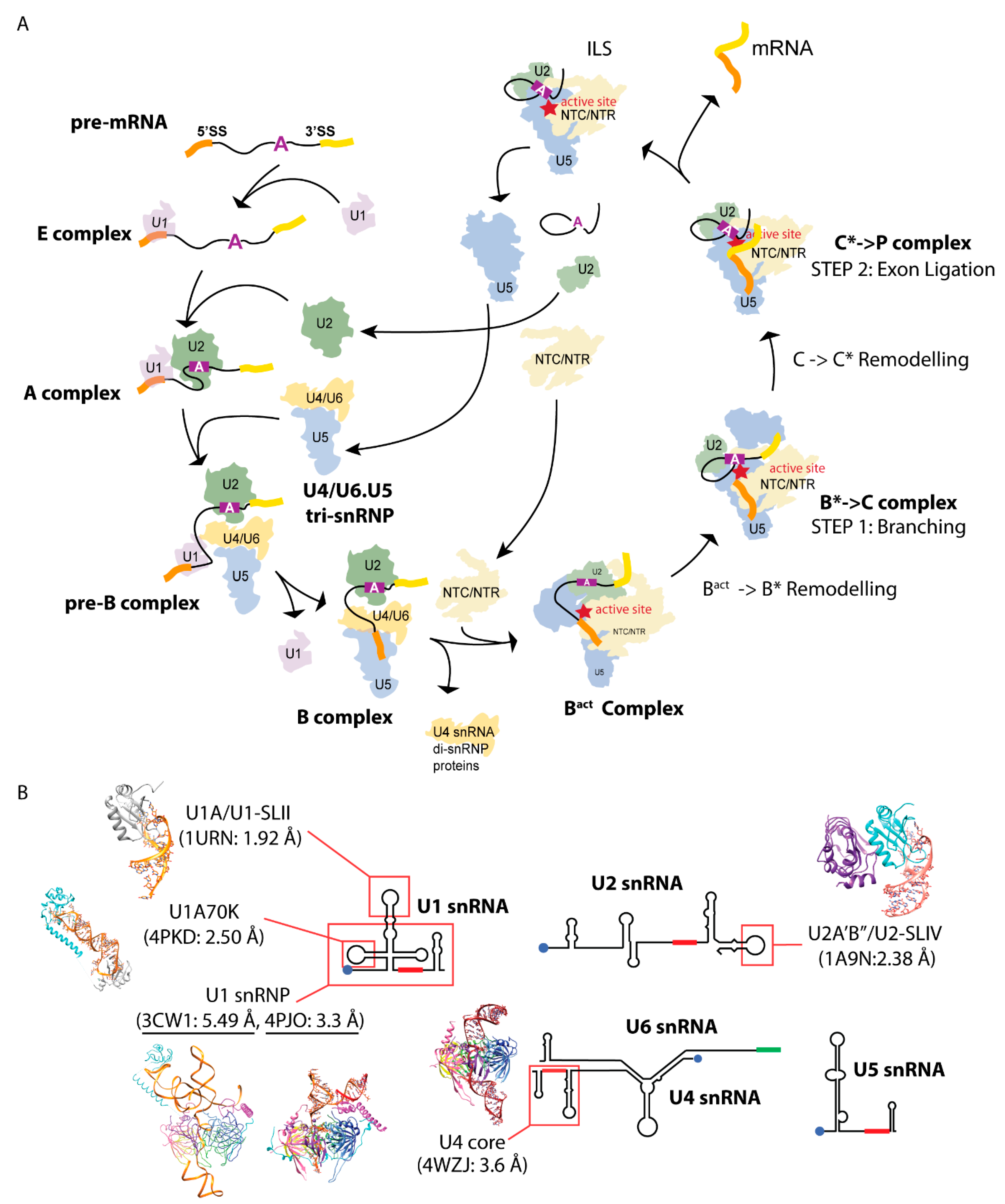 Crystals 11 00948 g001