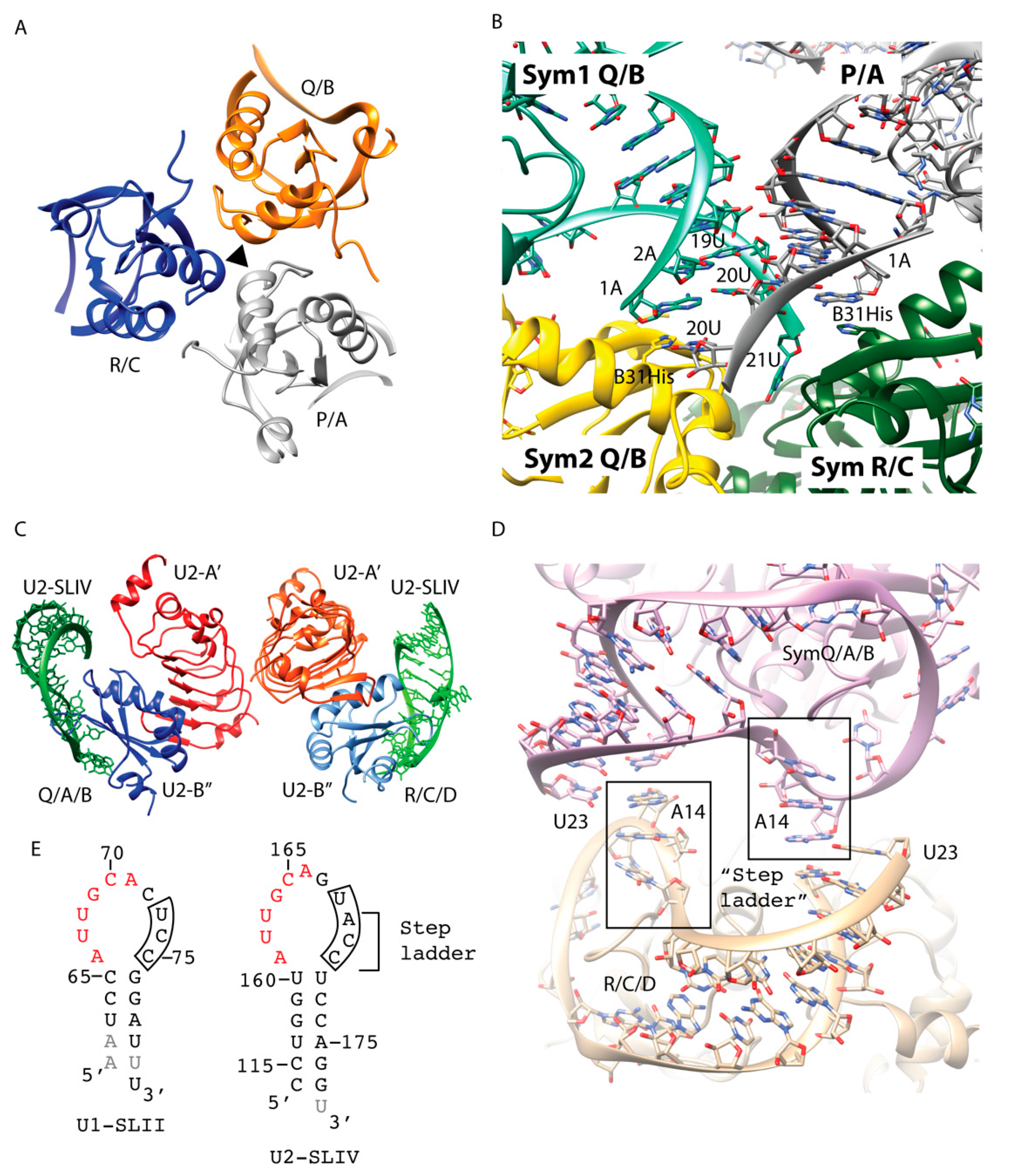 Crystals 11 00948 g002