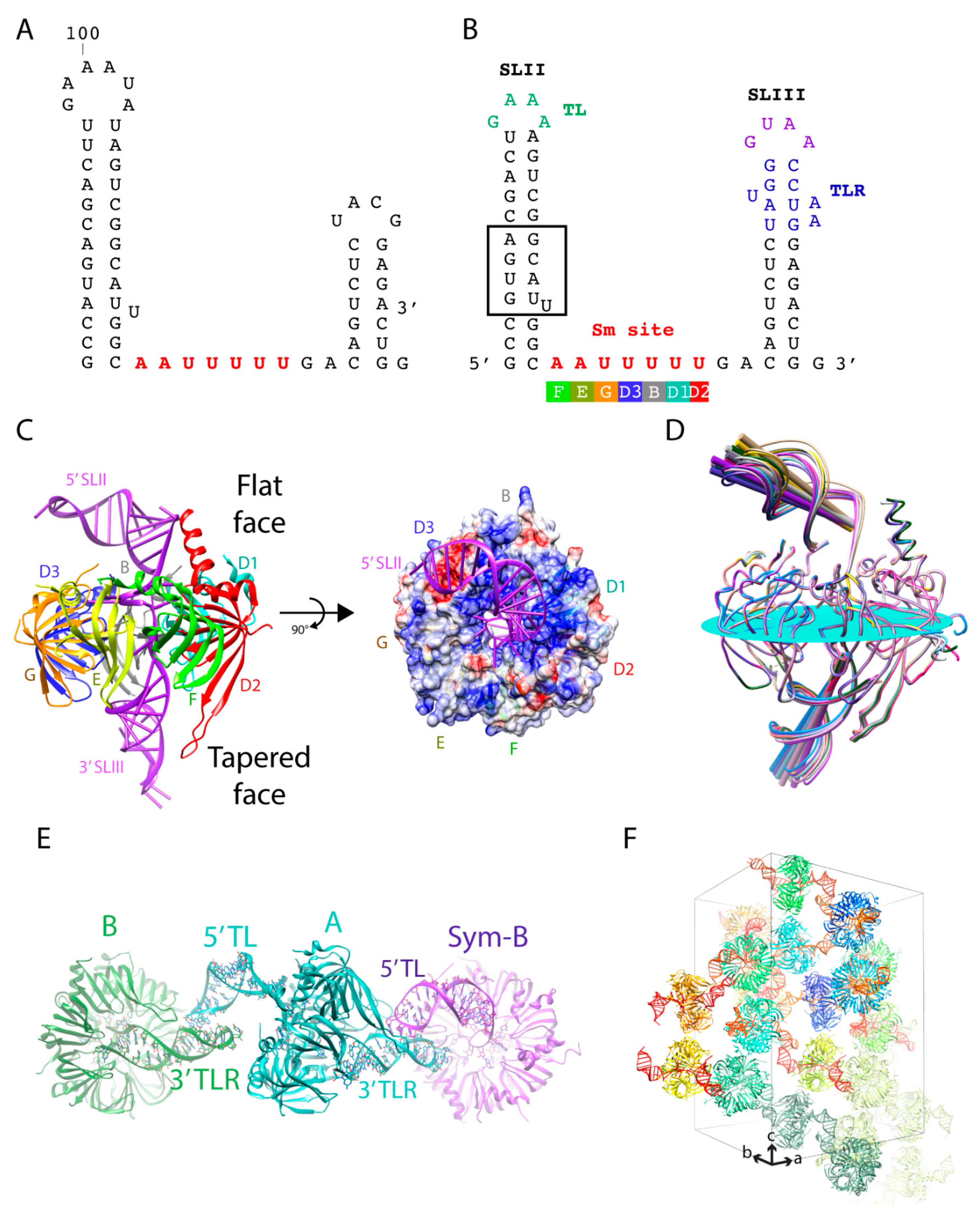 Crystals 11 00948 g003