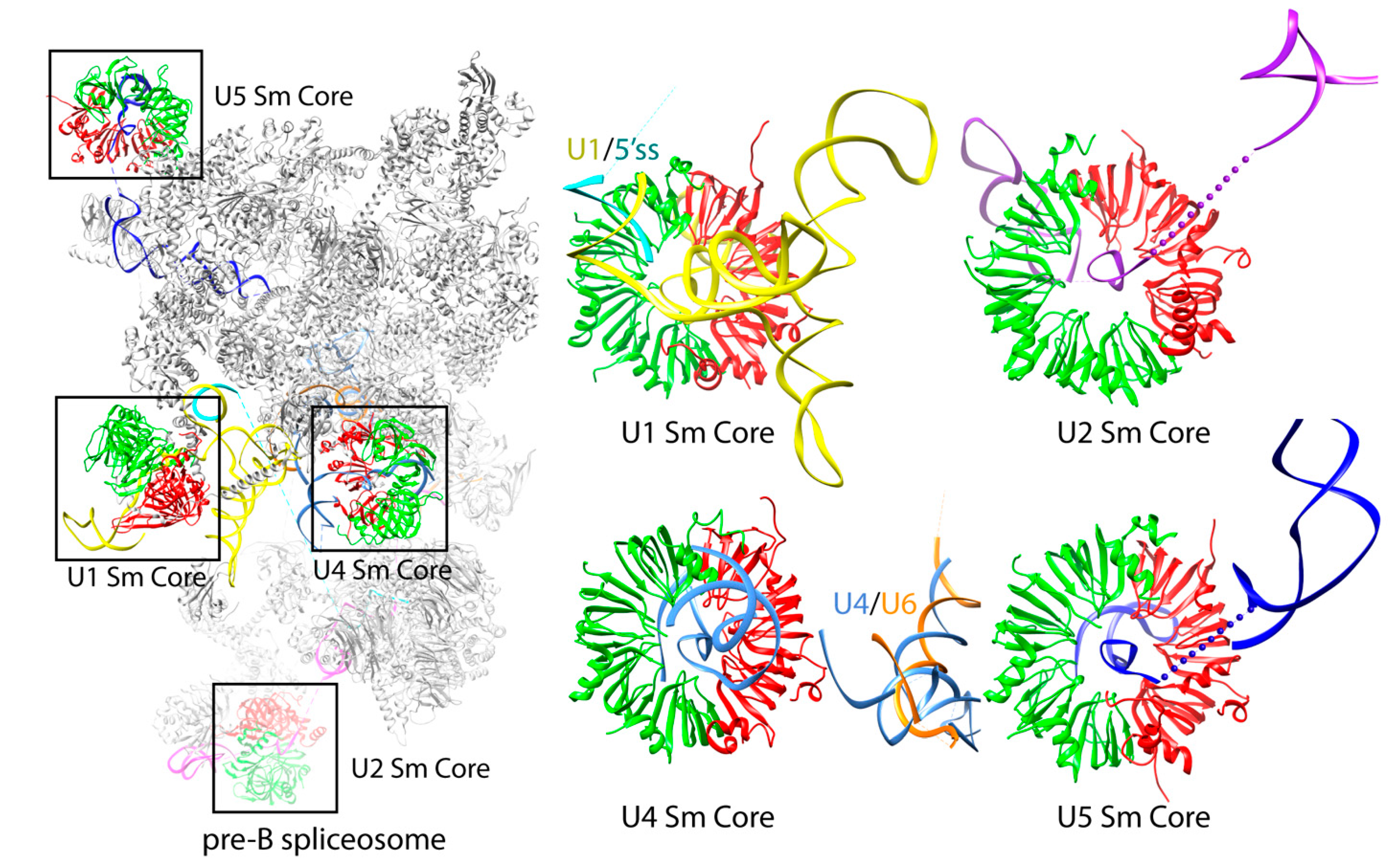Crystals 11 00948 g004