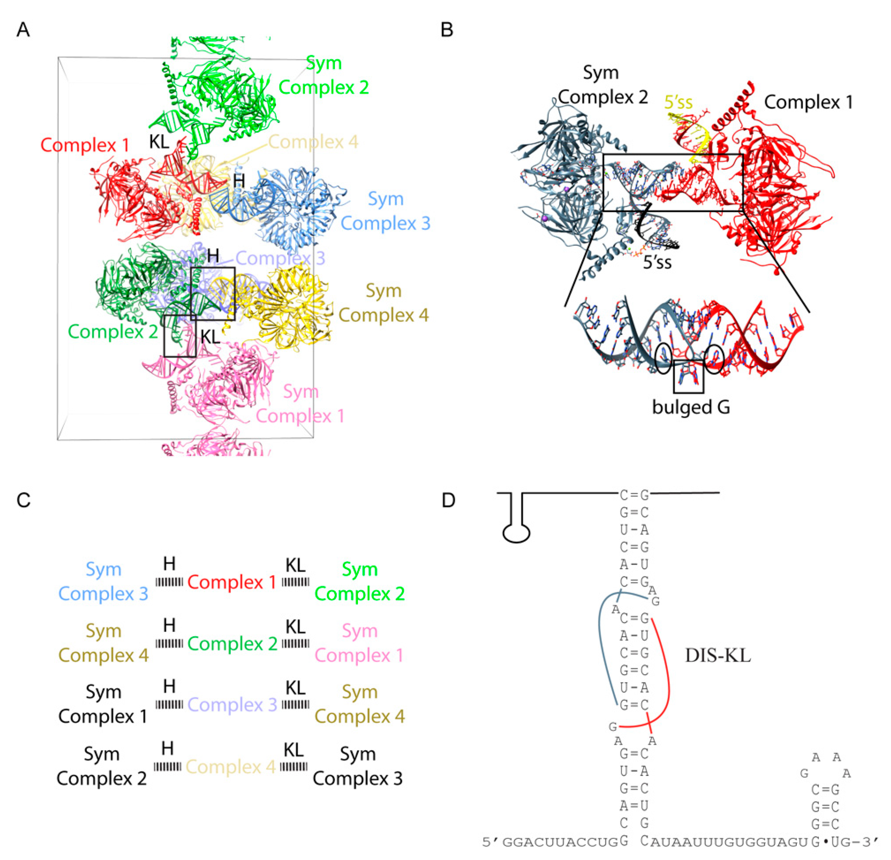 Crystals 11 00948 g006