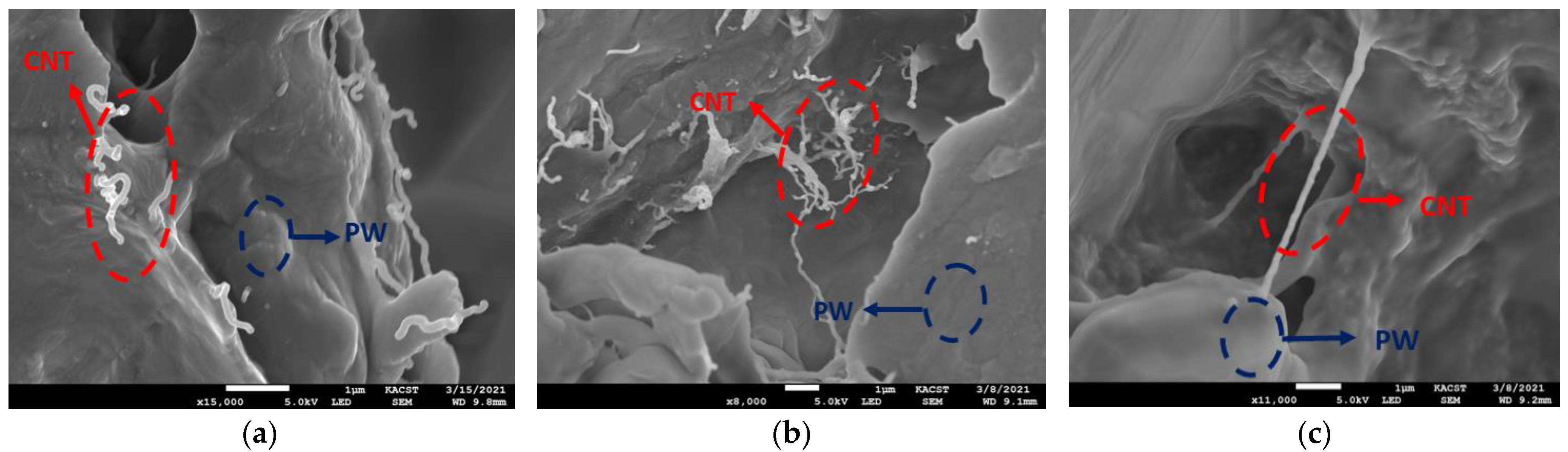 Crystals 11 00951 g004 550