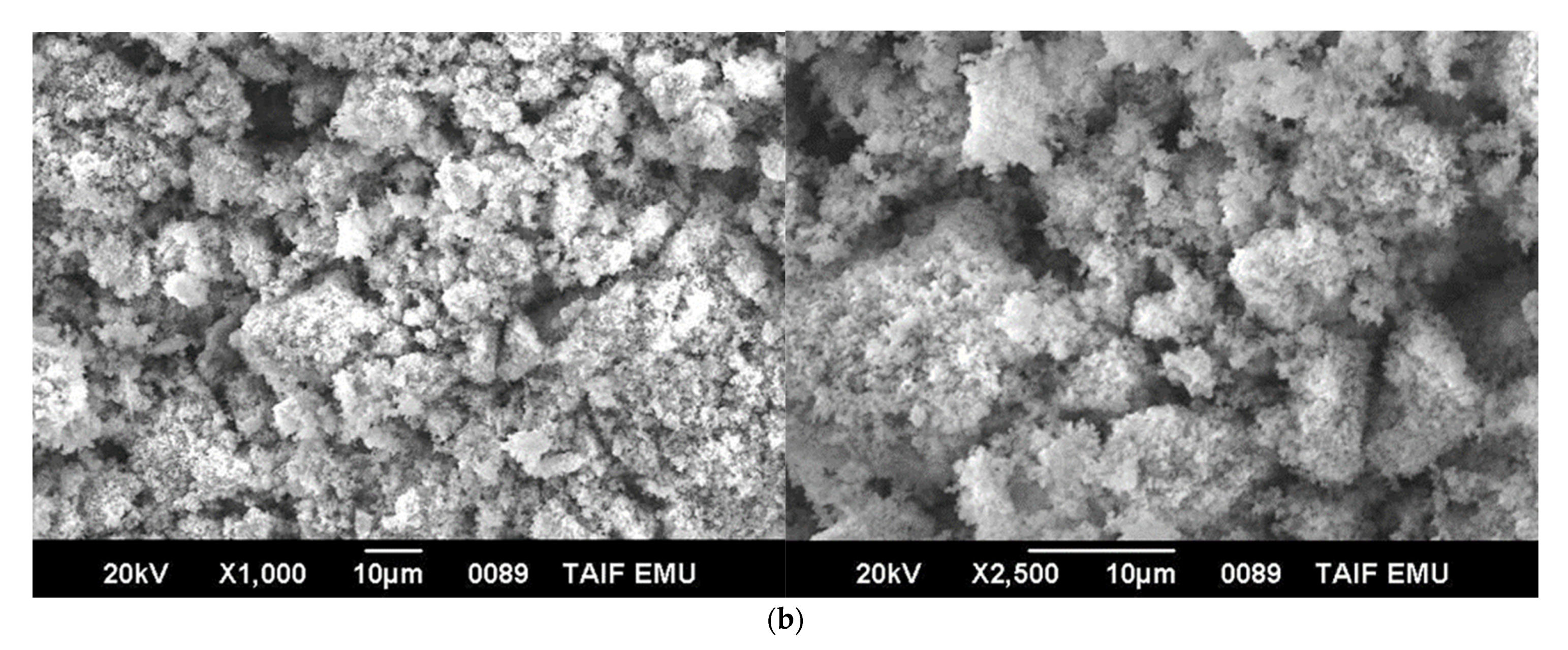 Crystals 11 00960 g005b