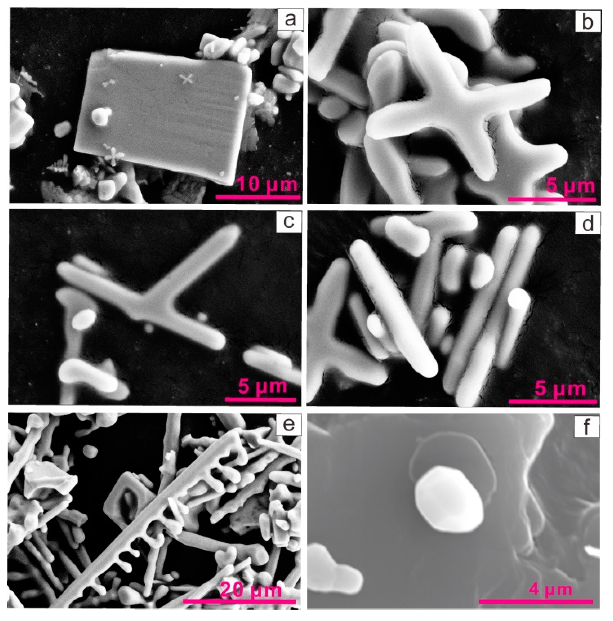 Crystals 11 00962 g002 550