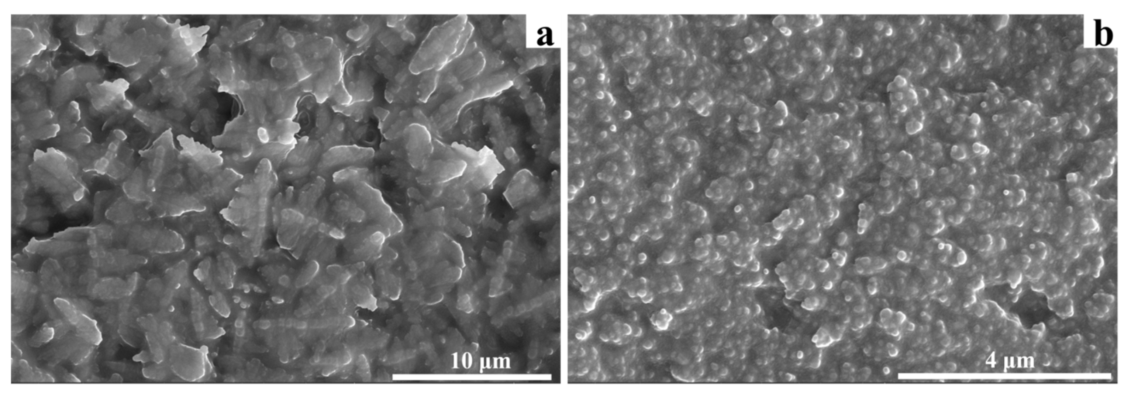 Crystals 11 00962 g004 550