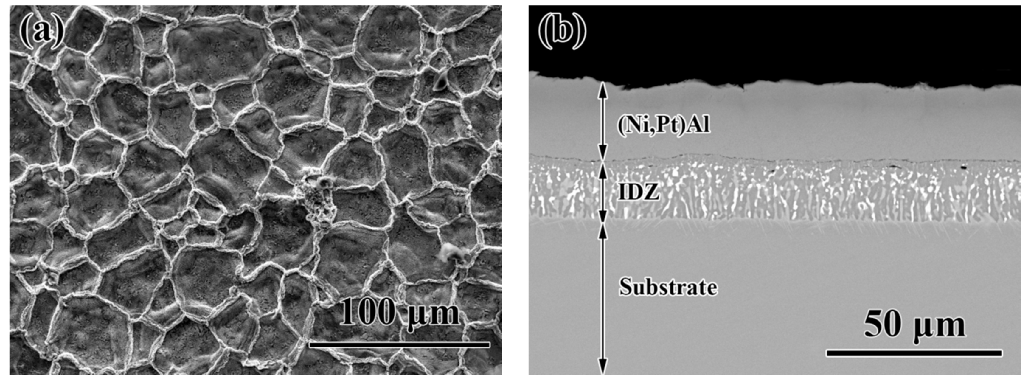 Crystals 11 00972 g001