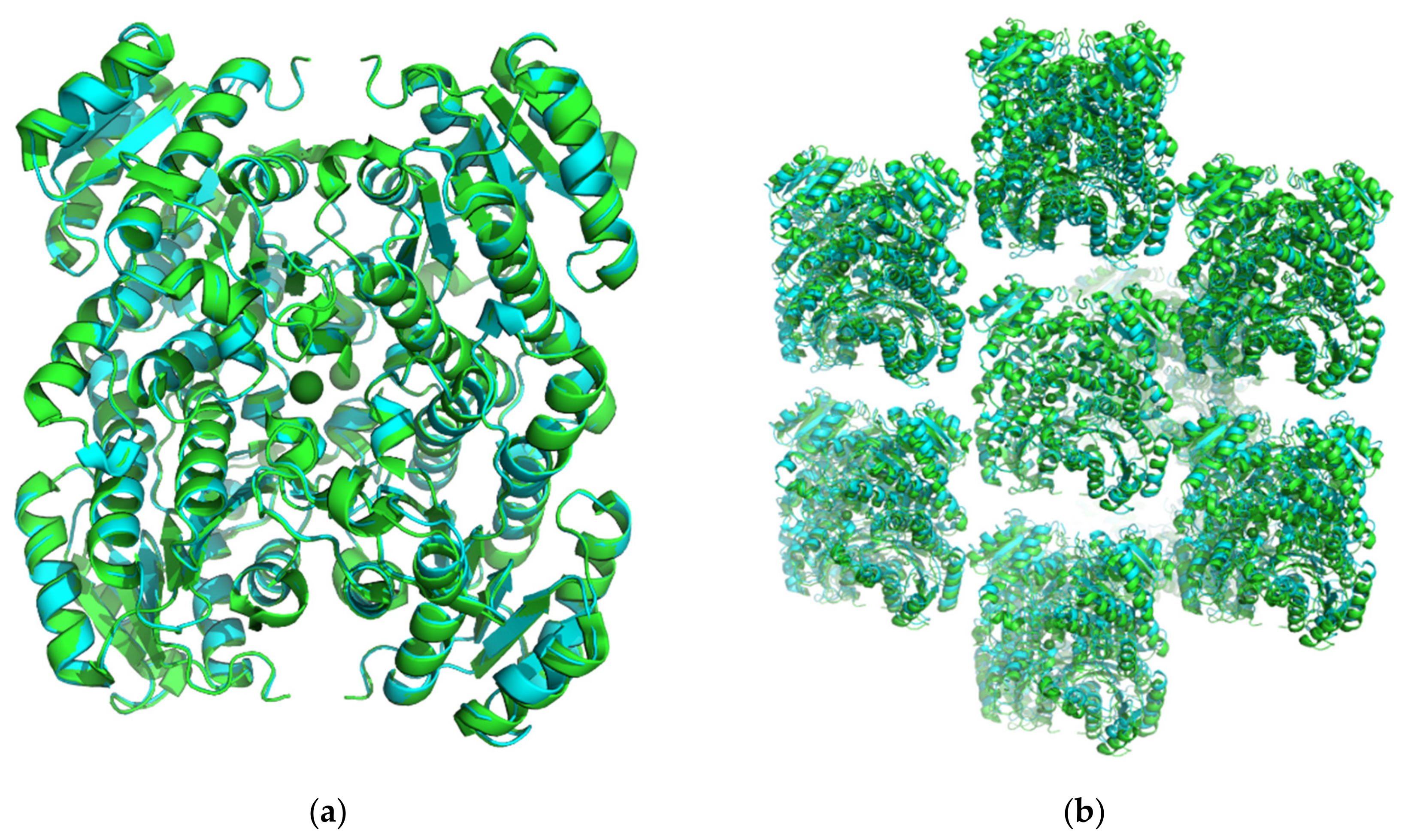 Crystals 11 00975 g001 Crystals 11 00975 g001