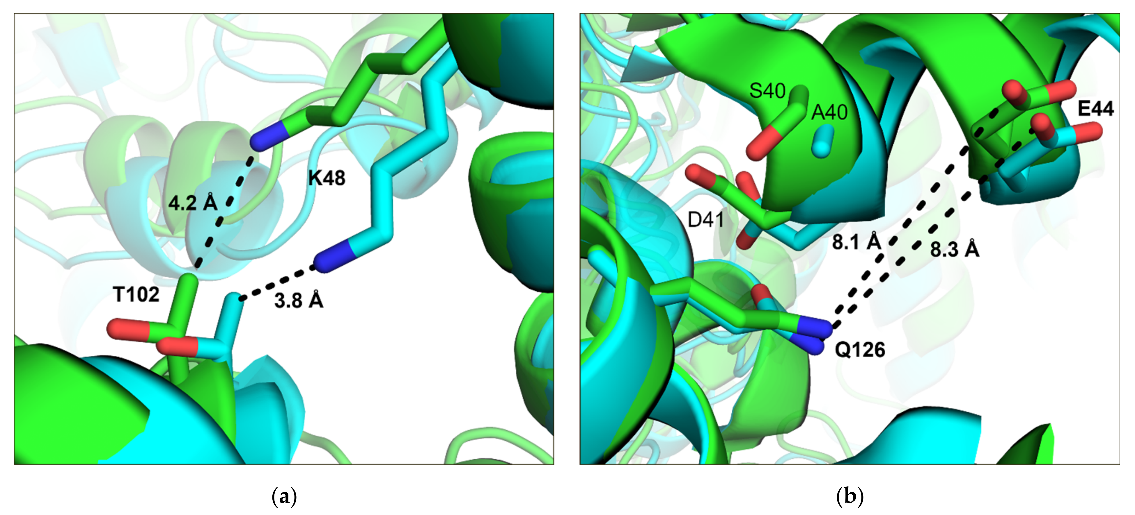 Crystals 11 00975 g002 Crystals 11 00975 g002