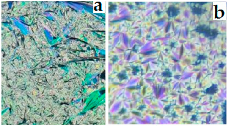 Crystals 11 00978 g002 550