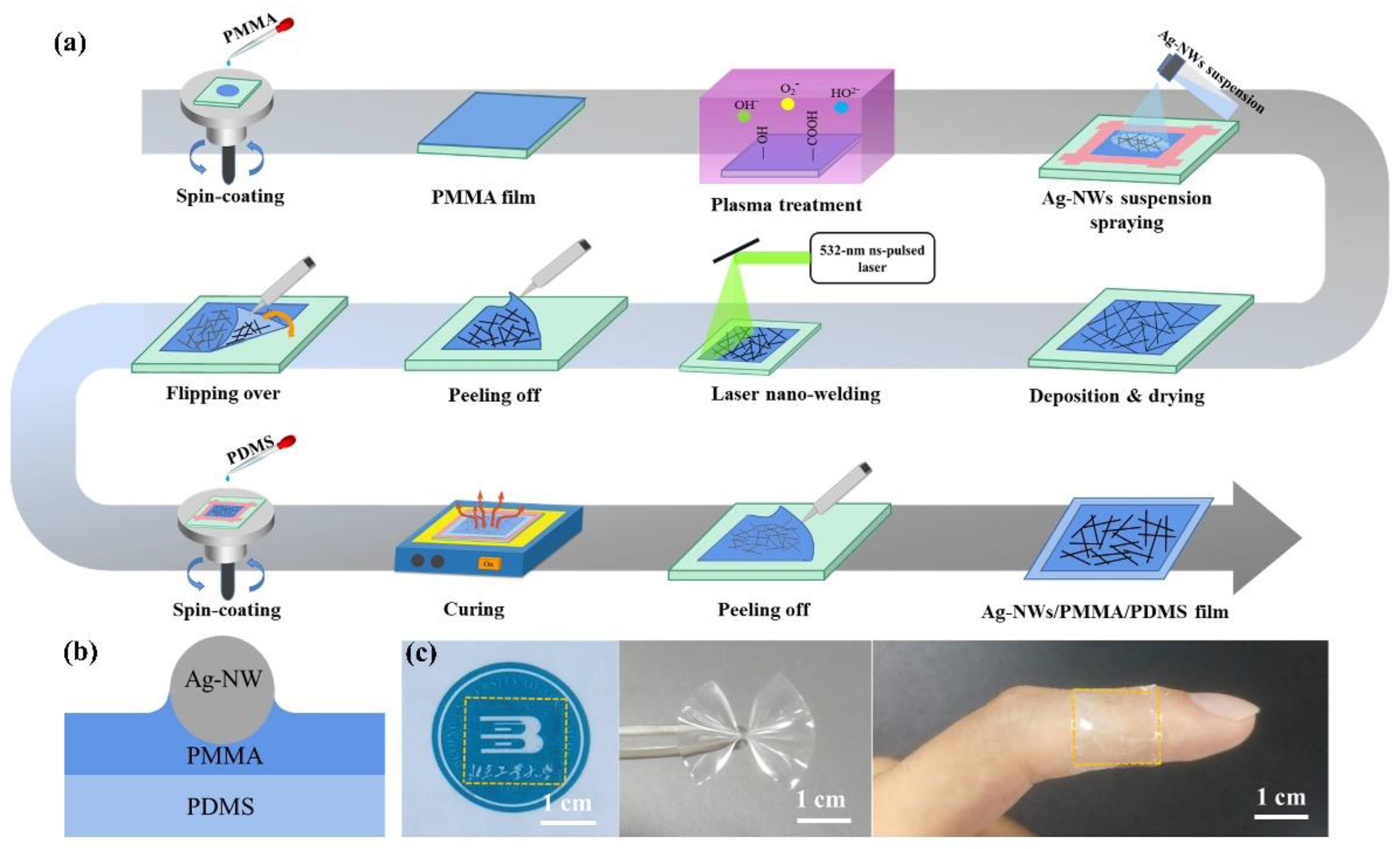 Crystals 11 00996 g001 550