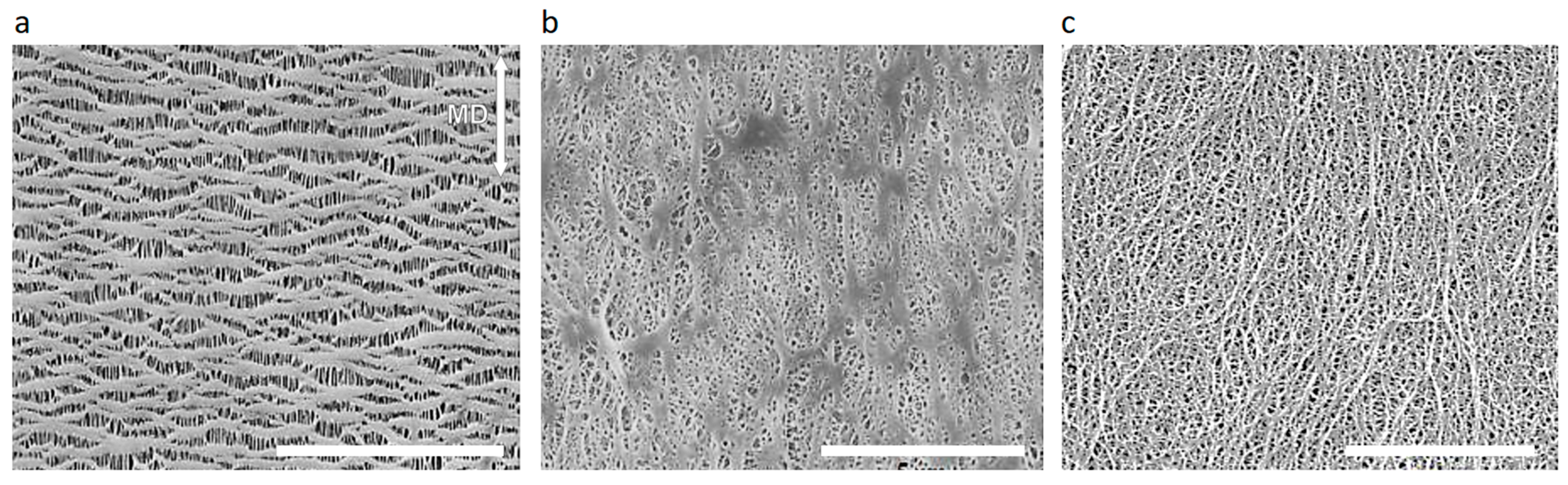 Crystals 11 01013 g003 550