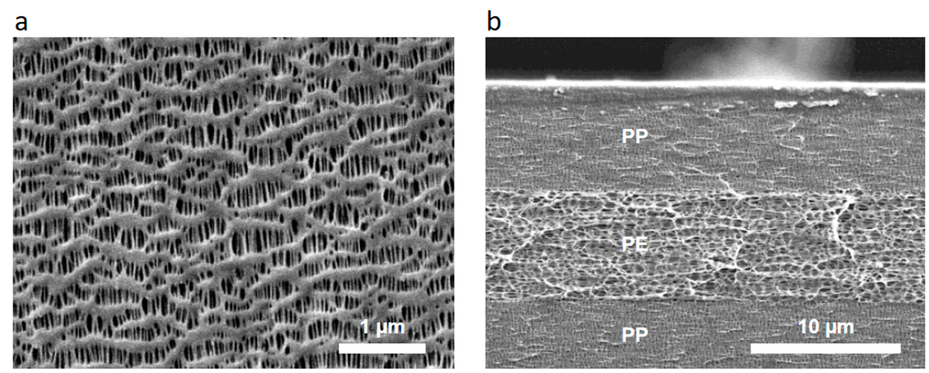 Crystals 11 01013 g007 550