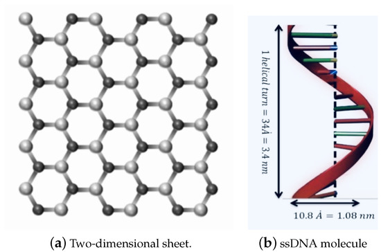 Computational Study on the Interaction and Moving of ssDNA through 
