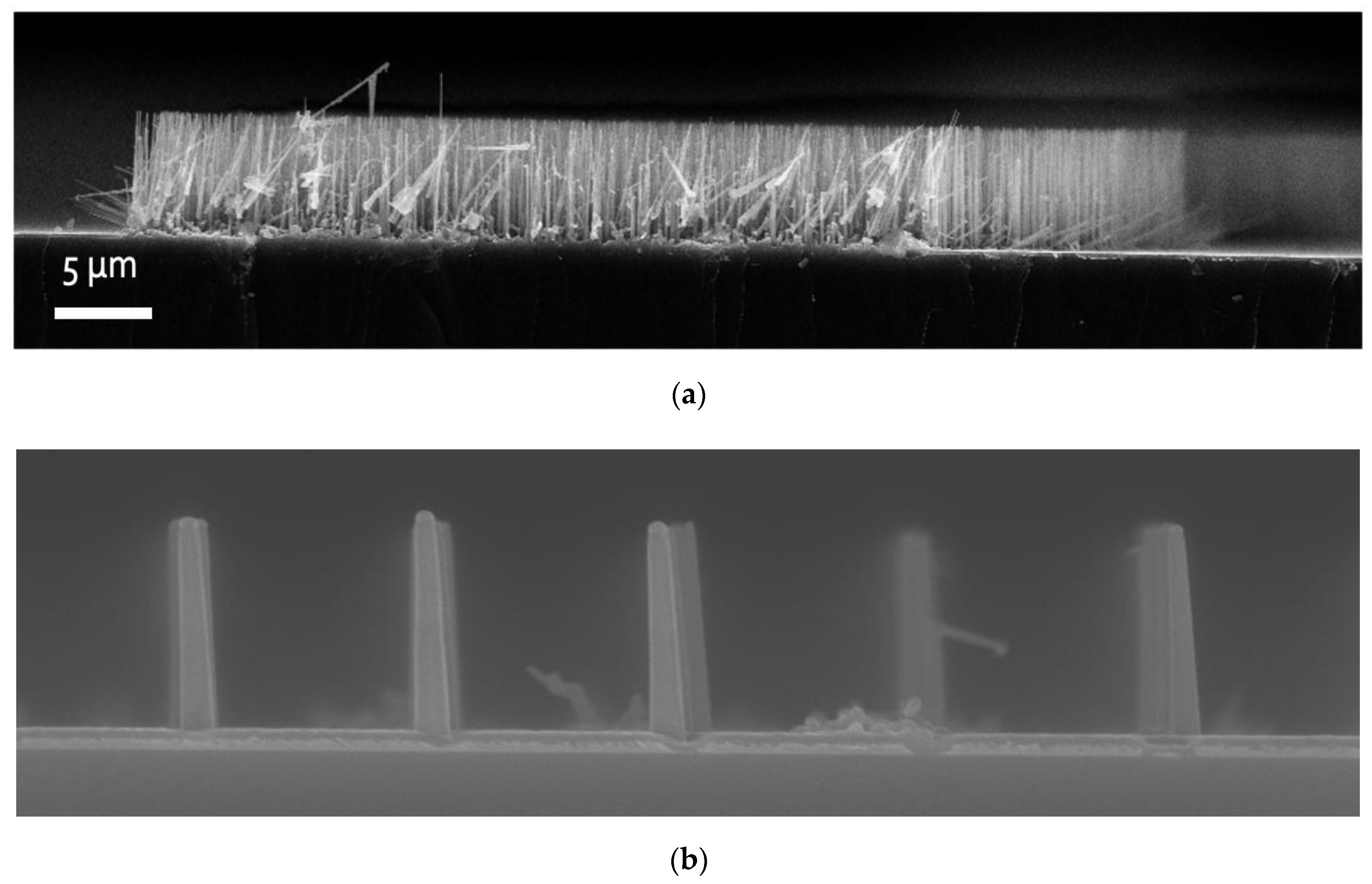 Crystals 11 01020 g011 550