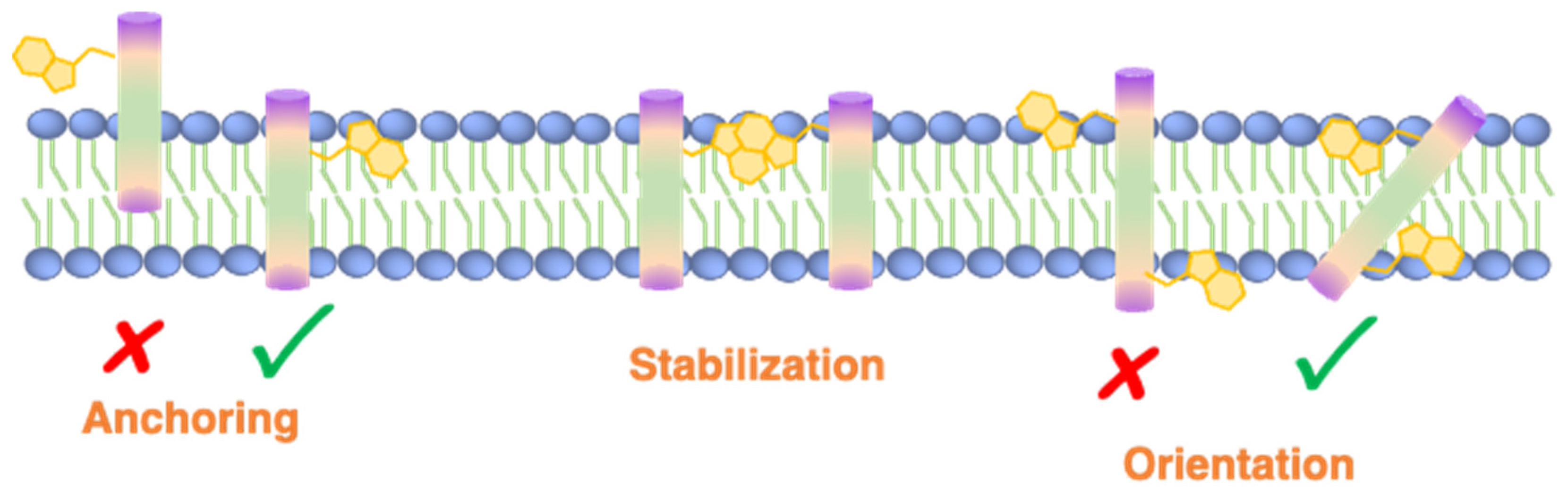 Crystals 11 01032 g002