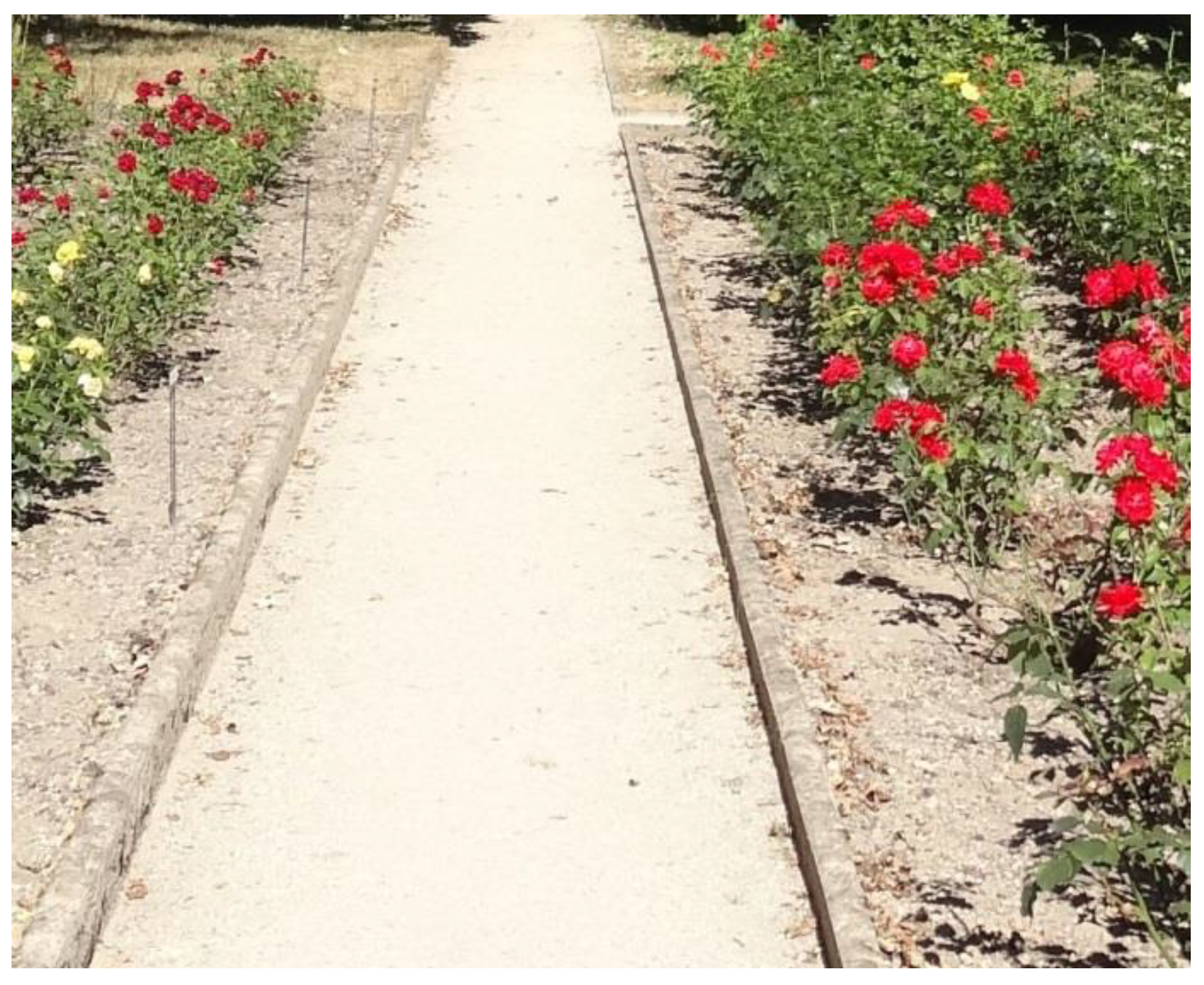 Crystals 11 01033 g003 550