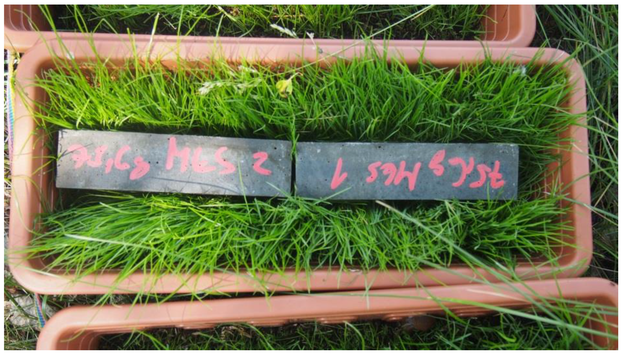 Crystals 11 01033 g004 550