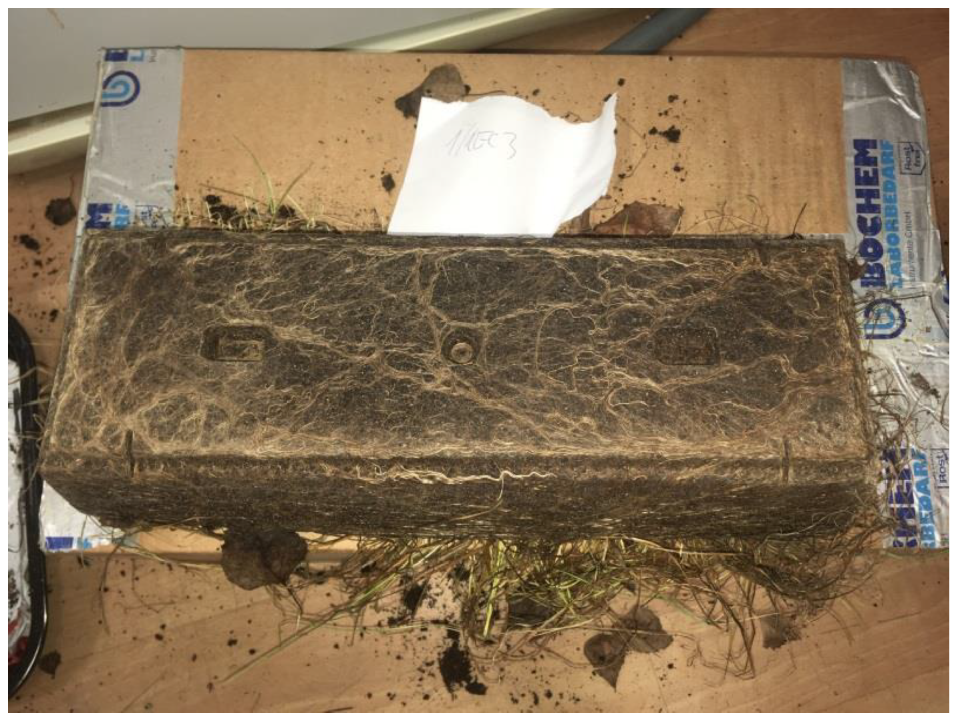 Crystals 11 01033 g015 550