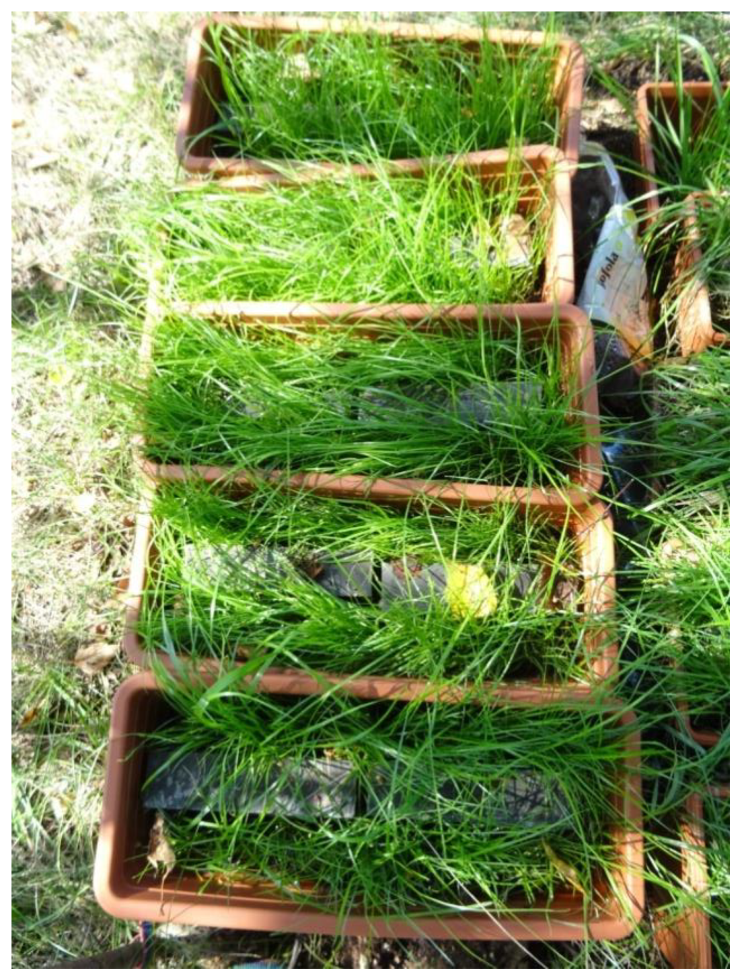 Crystals 11 01033 g016 550